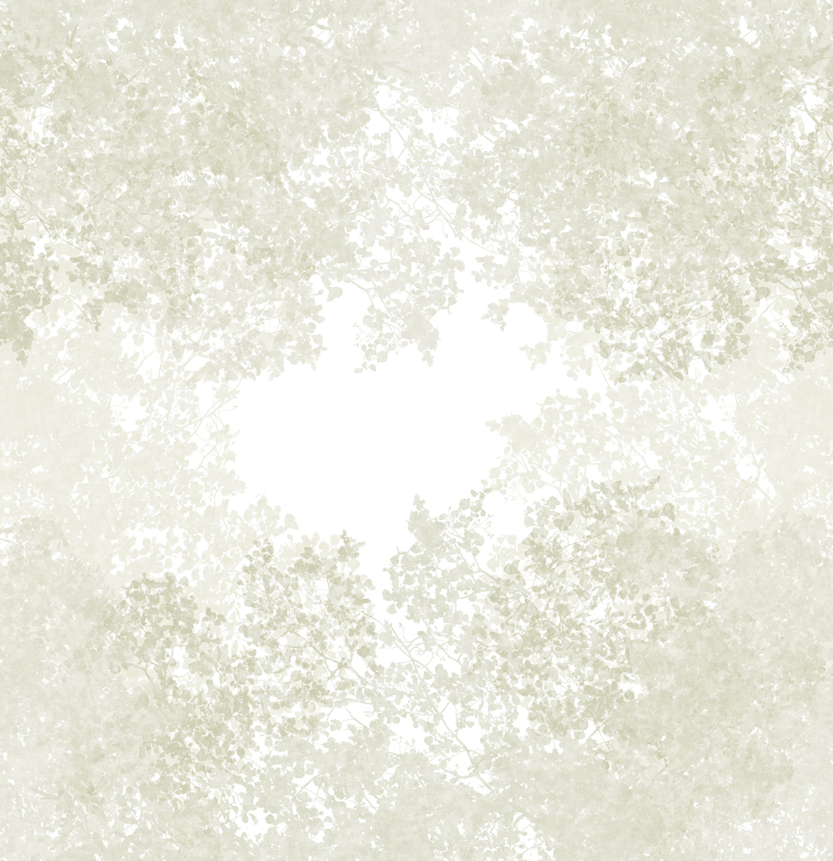 Papier peint panoramique Végétaux Chemin des Cimes L vert lichen 300X310 - Wonderwalls 2 de Casadéco | Réf. WDWD200137209