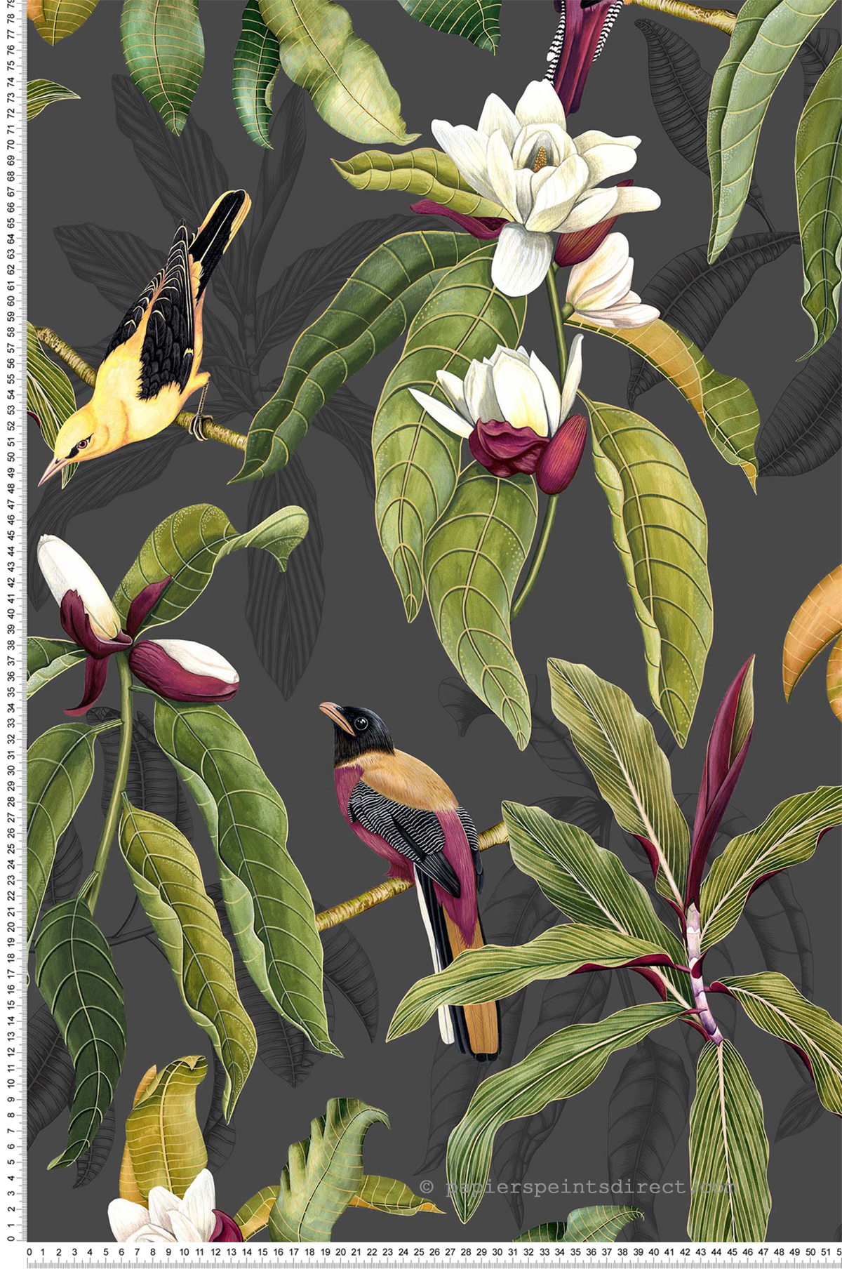 Papier peint exotique Oiseaux Michelia Charocal - Empyrea d'Osborne & Little | Réf. OSB-W7612-01