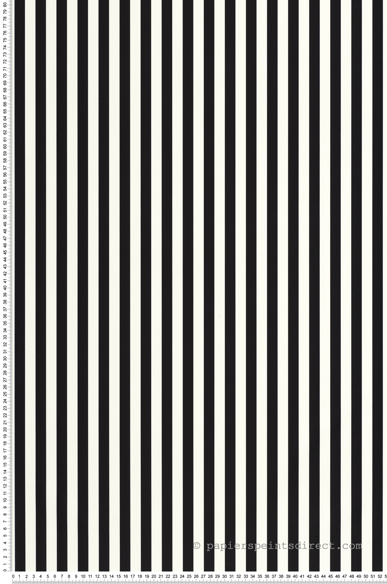 Papier peint Rayure Talea noir et blanc - Art of Botany de Casélio | Réf. AOB106670968