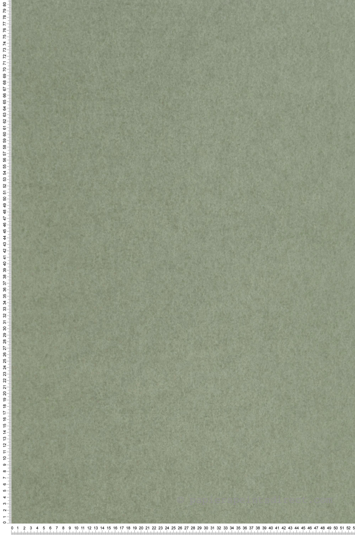 Papier peint Chroma Sage vert sauge - Chroma de Osborne & Little | Réf. OSB-W7360-02