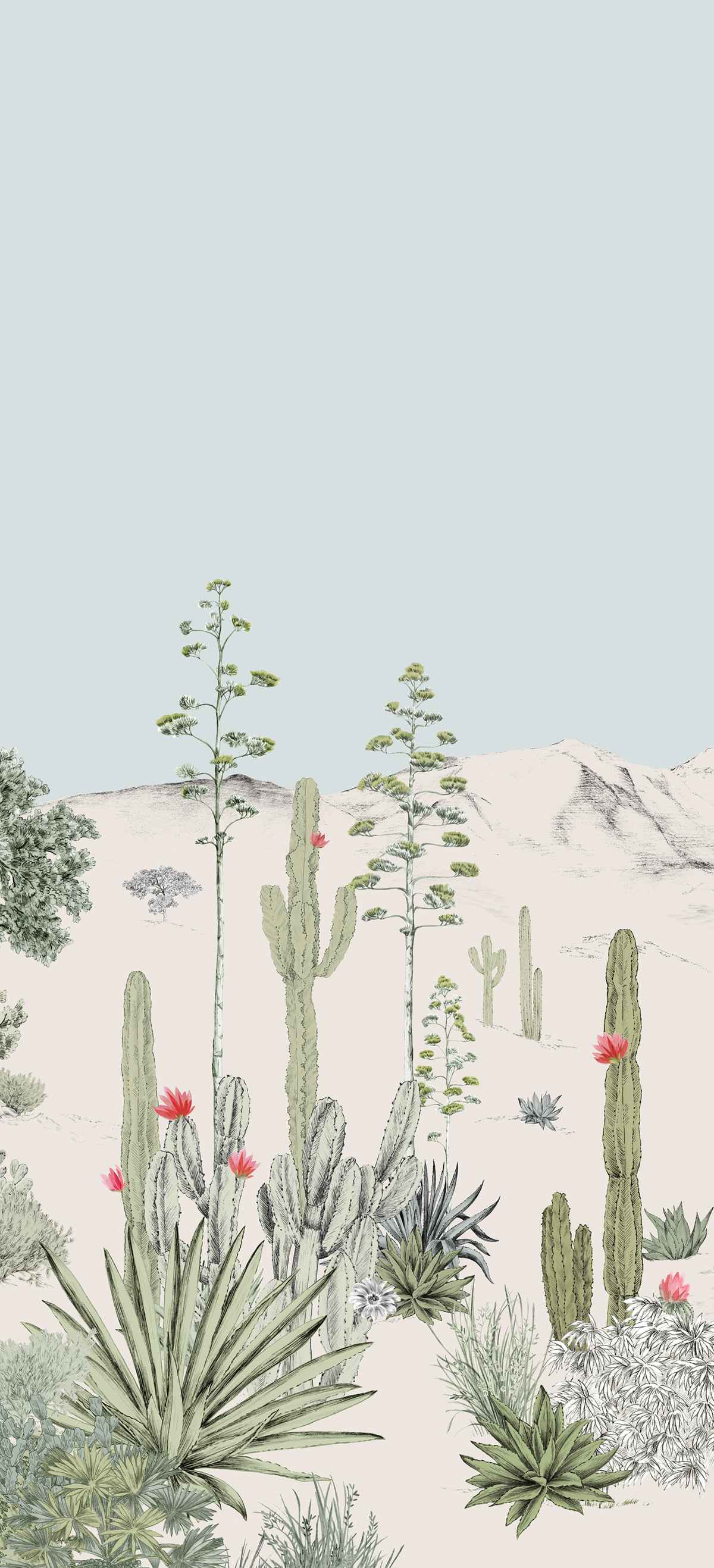Papier peint panoramique Cactus Succulentes Pastel B - 4/5/6 - Isidore Leroy