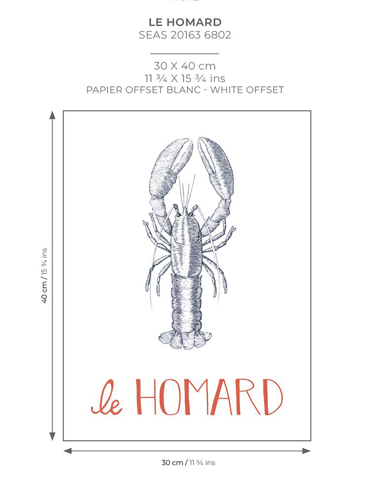 Affiche Homard Croquis 30x40 bleu marine - Seaside de Casadéco AMB7 | Réf. SEAS201636802