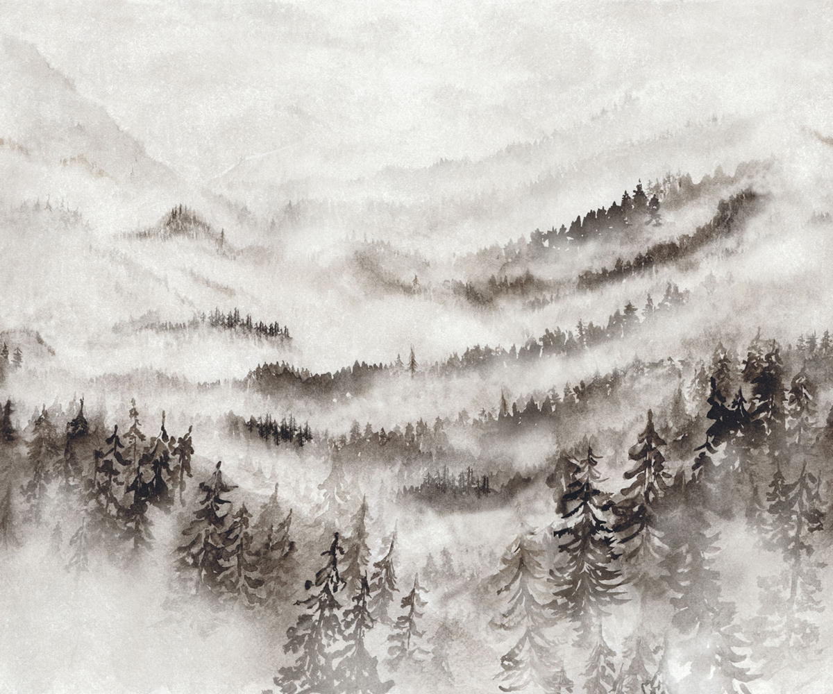 Papier peint panoramique Montagne Morning Mist S gris 300X250 - Wonderwalls 2 de Casadéco | Réf. WDWD200189107