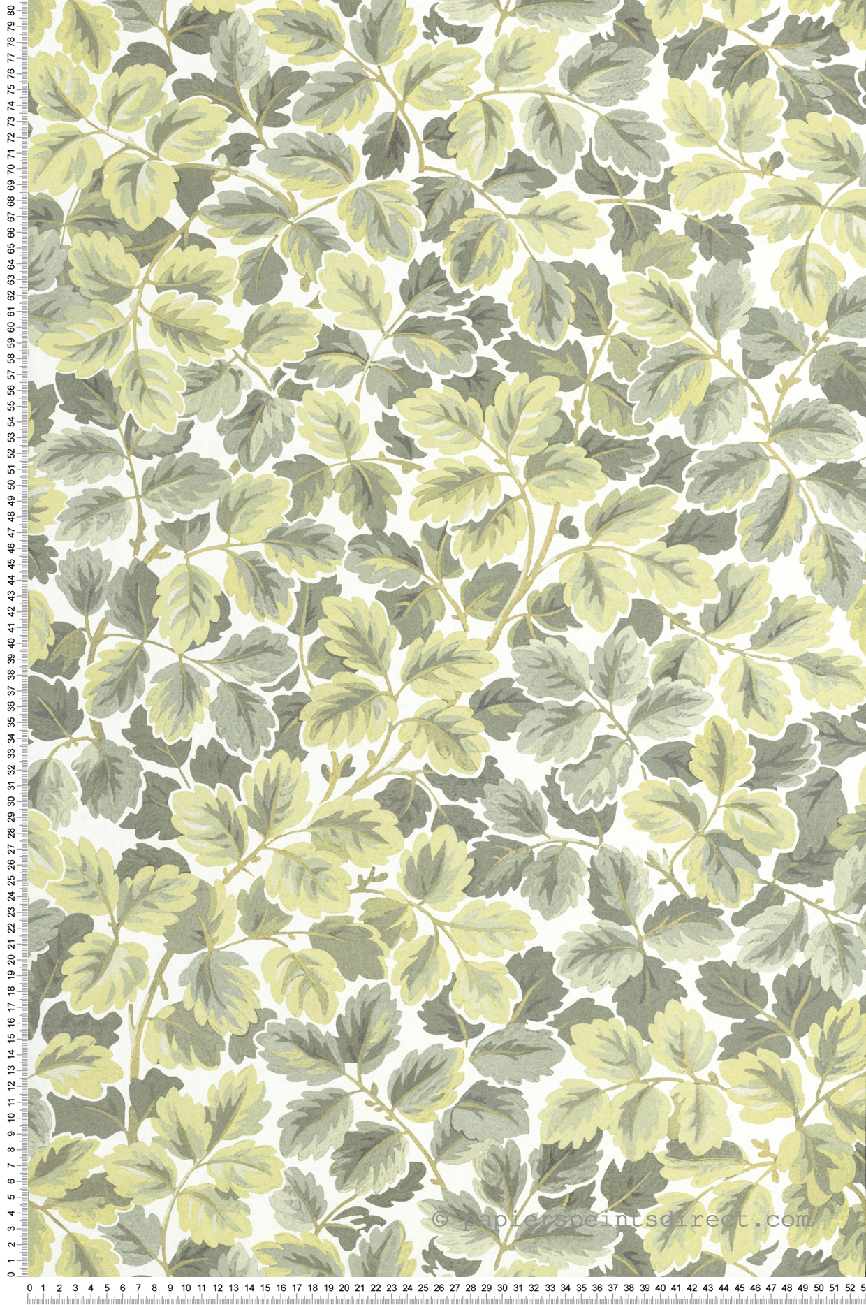 Papier peint Feuille de Chêne Regent's Park vert amande - Heritage de Casadéco | Réf. HETA201207244