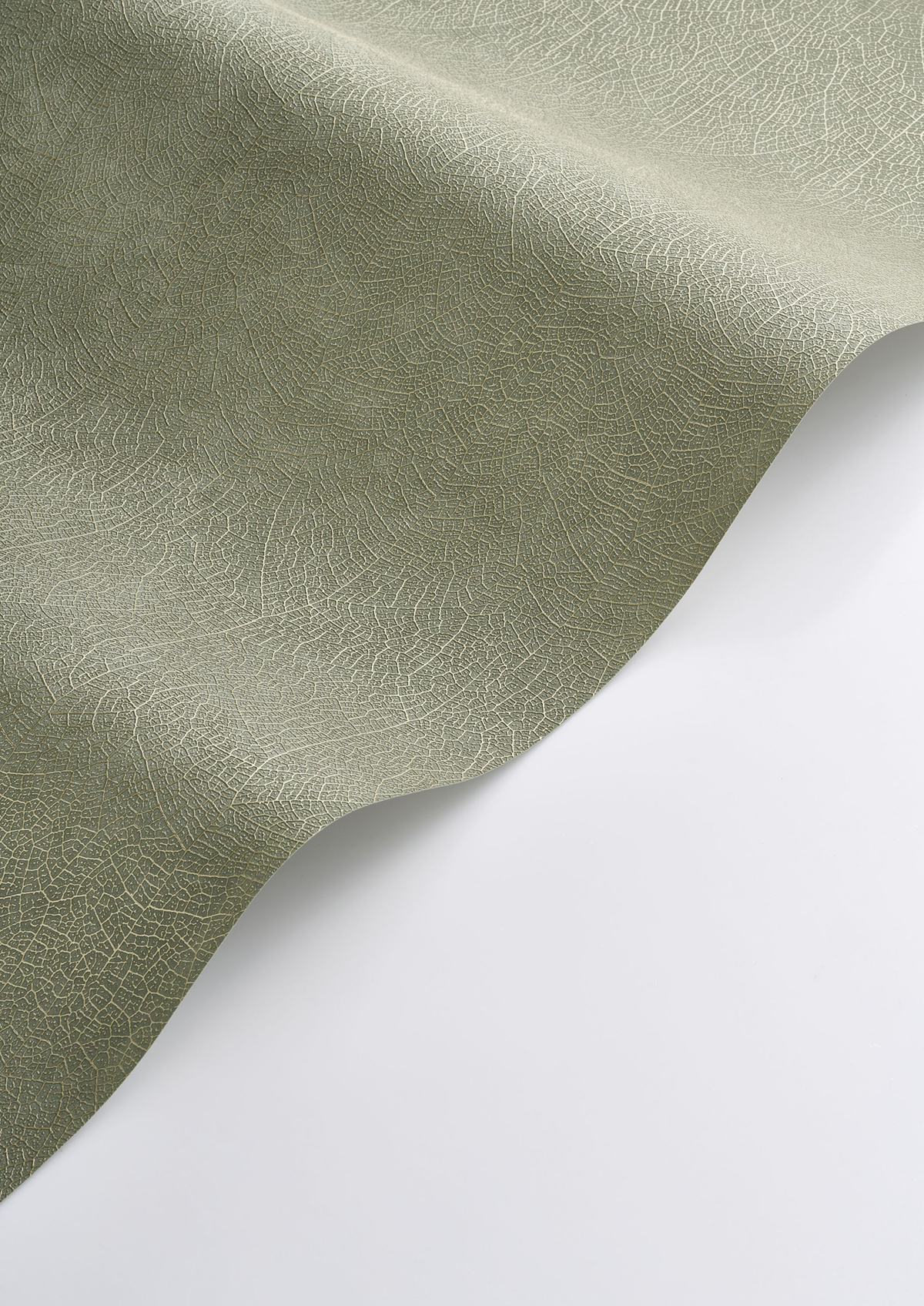 Papier peint Feuille Nervure Nola vert sauge - Vegetals de Casadéco AMBV| Réf. VEGE201287373