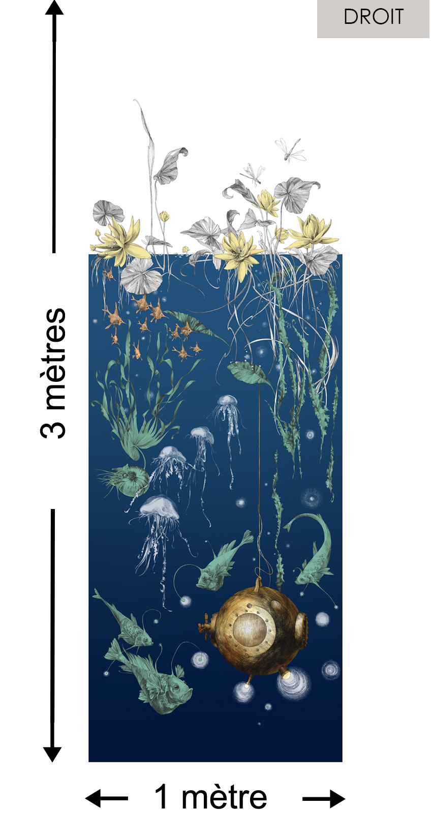 Nautilus DROIT Marine - Collection Catherine Gran de Edmond Petit