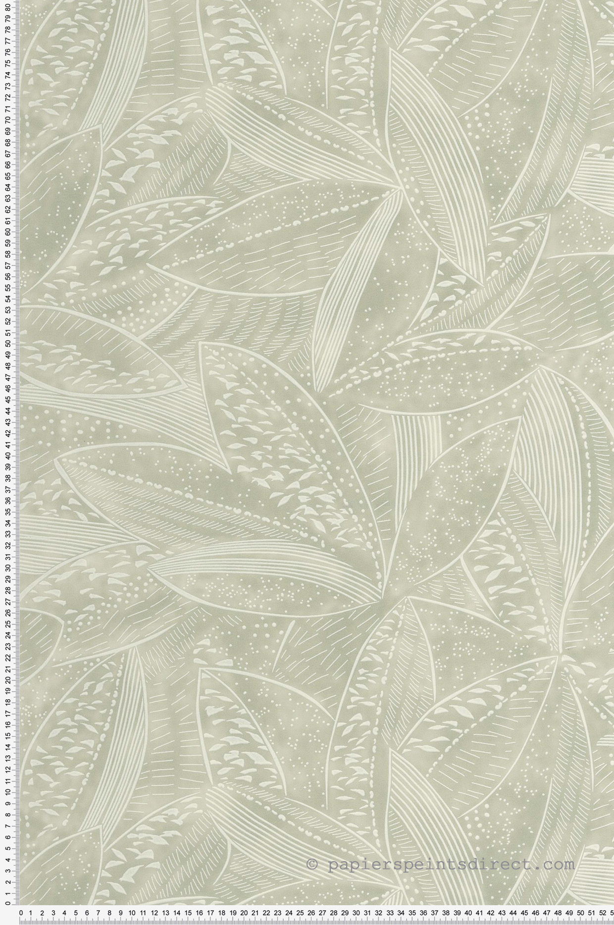 Papier peint Feuille Natura vert sauge - Origine de Casélio | Réf. OGN106047070