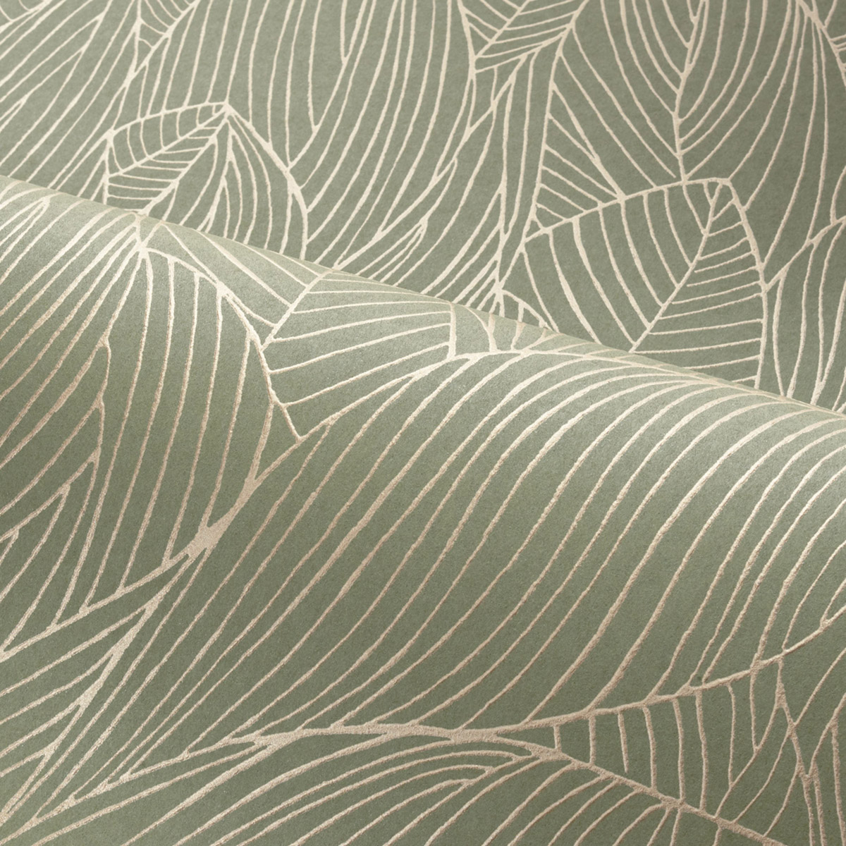 Papier peint Nervure de Feuille Hosta kaki doré - Jardin Félicia de Casamance AMB3| Réf. CAS-76602548