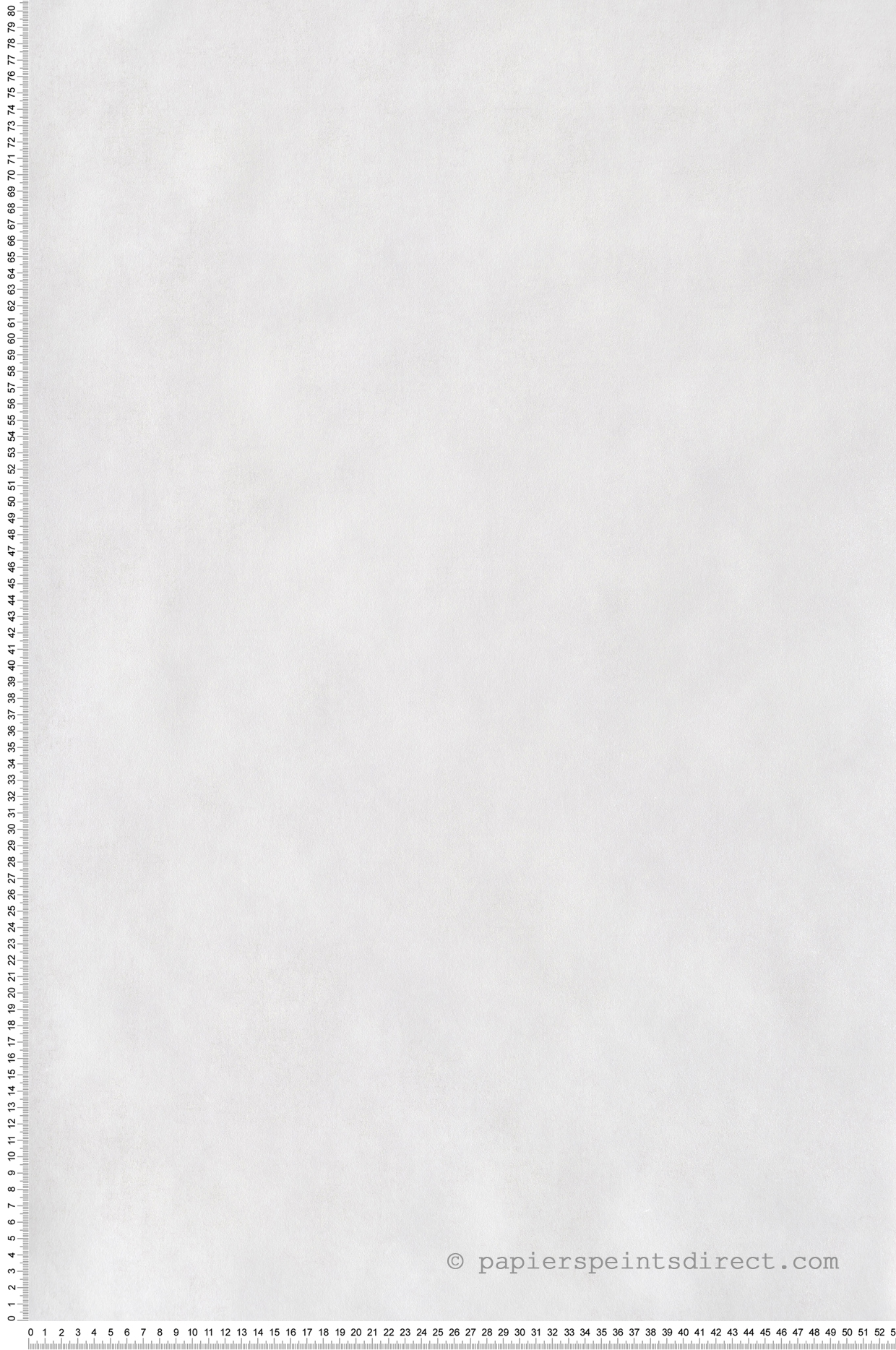 Papier peint Faux uni irisé blanc cassé - Montsegur de Casadéco | Réf. MTSE80830101