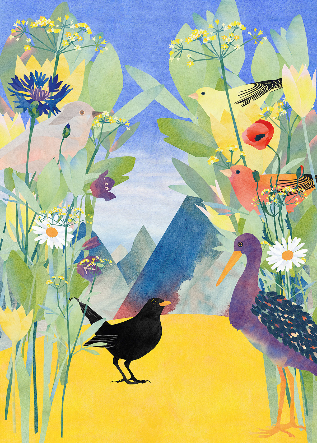 Papier peint panoramique Nature Oiseaux - Papier Peint Komar Into Adventure