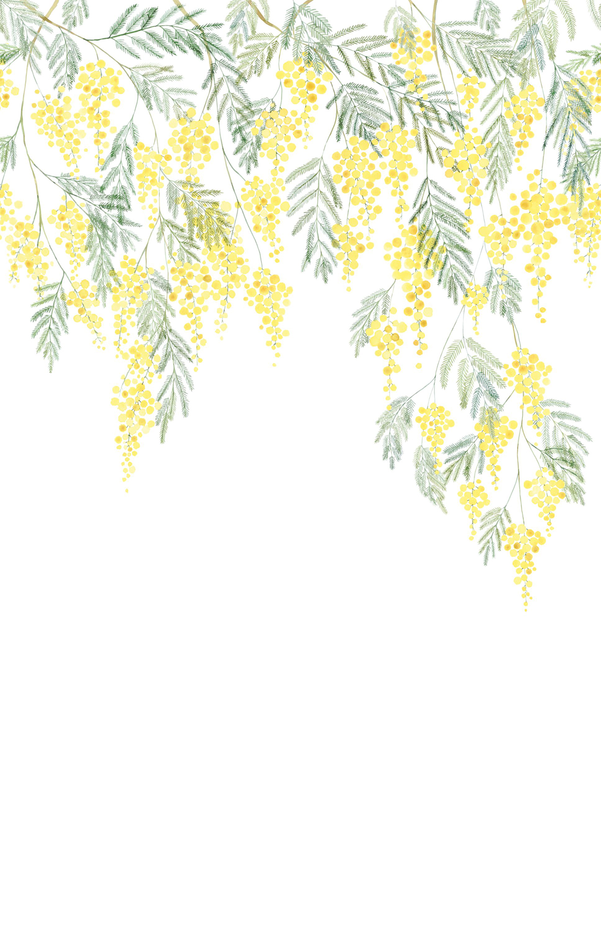 Papier peint panoramique Fleur Mimosa L jaune 200x310 - Wonderwalls de Casadéco | Réf. WDWS89172204