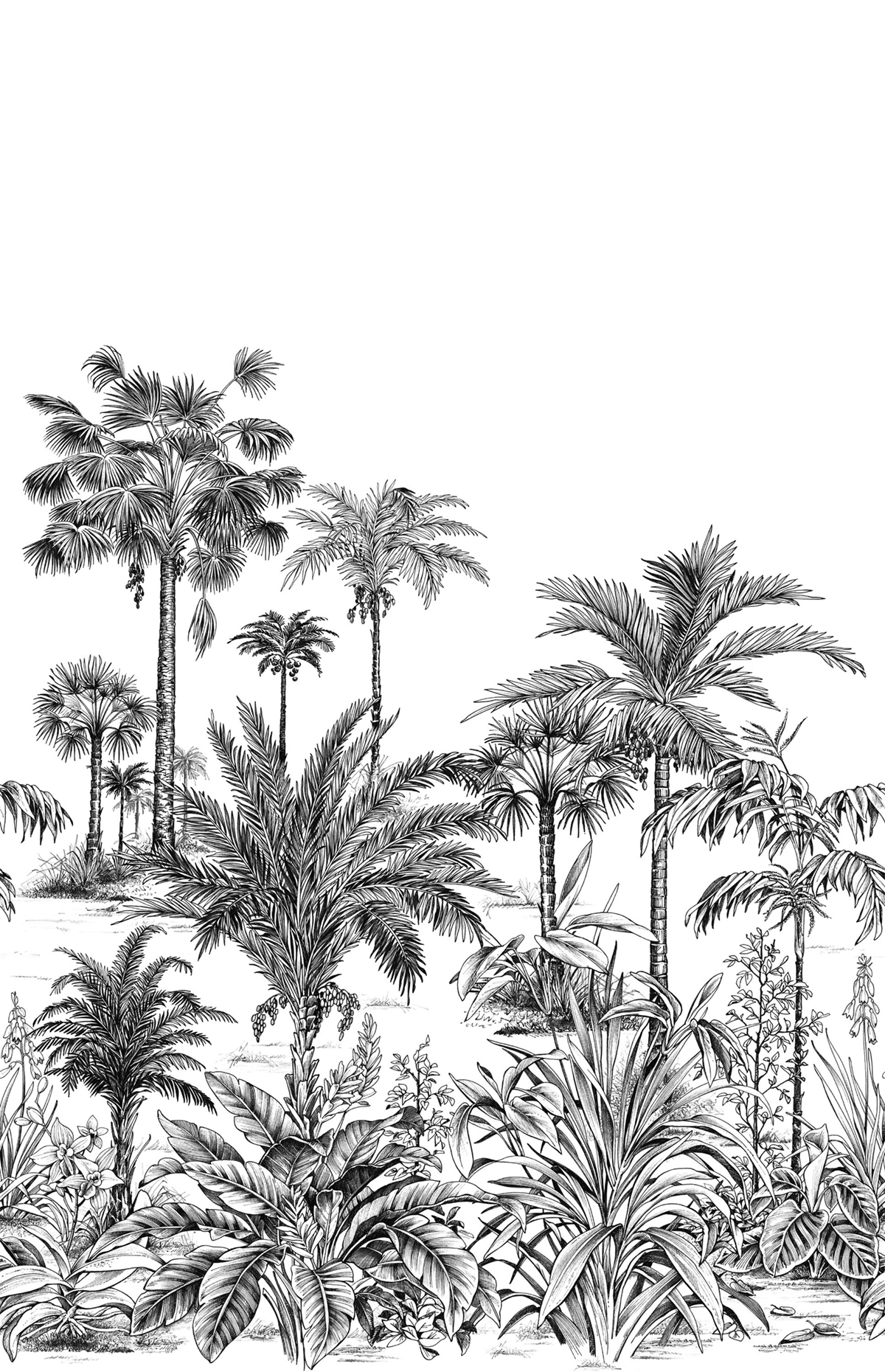 Papier peint panoramique Jungle Nicoya L noir fusain 200x310 - Wonderwalls de Casadéco | Réf. WDWS89129304