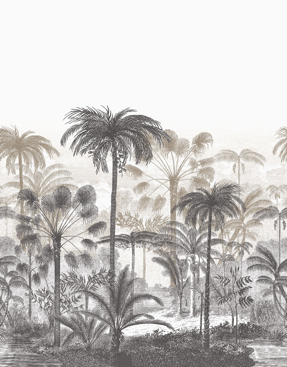 Papier peint panoramique Palmeraie Bosque L beige - Nicaragua de Casadéco | Réf. NICA86461377