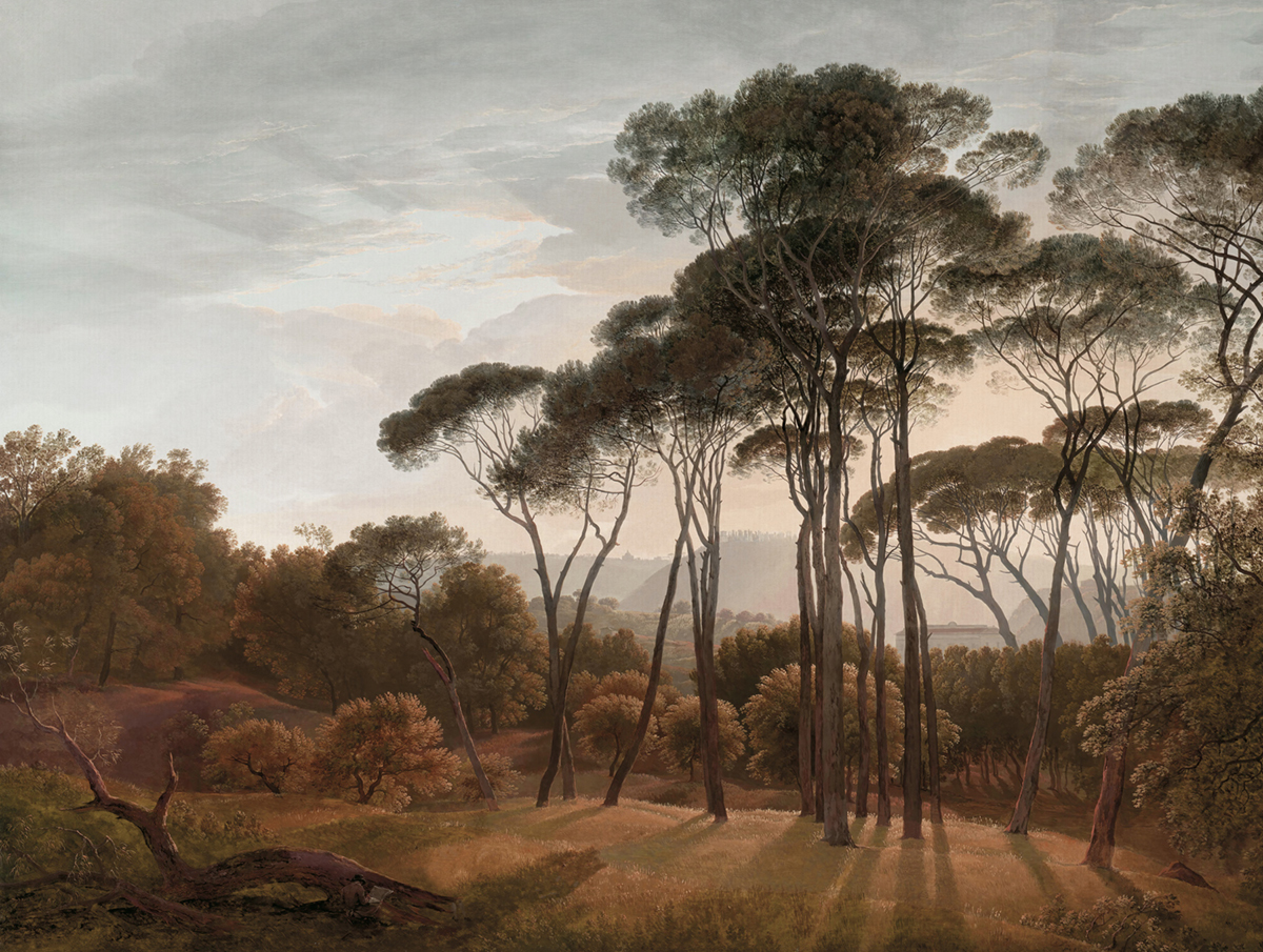 Papier peint panoramique Arbre Umbrella automne - Panorama 2 de Lutèce | Réf. LTC-PAN1513C