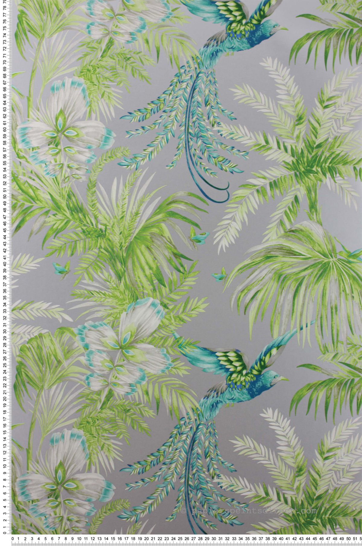 Papier peint Oiseaux Tropicaux vert et argenté - The Wallpaper Collection de Matthew Williamson | Réf. OSB-W6655-04