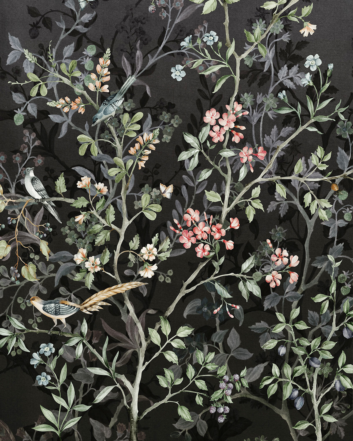 Papier peint panoramique Oiseaux et Fleurs Nuit Royale - Papier peint Komar Le Jardin