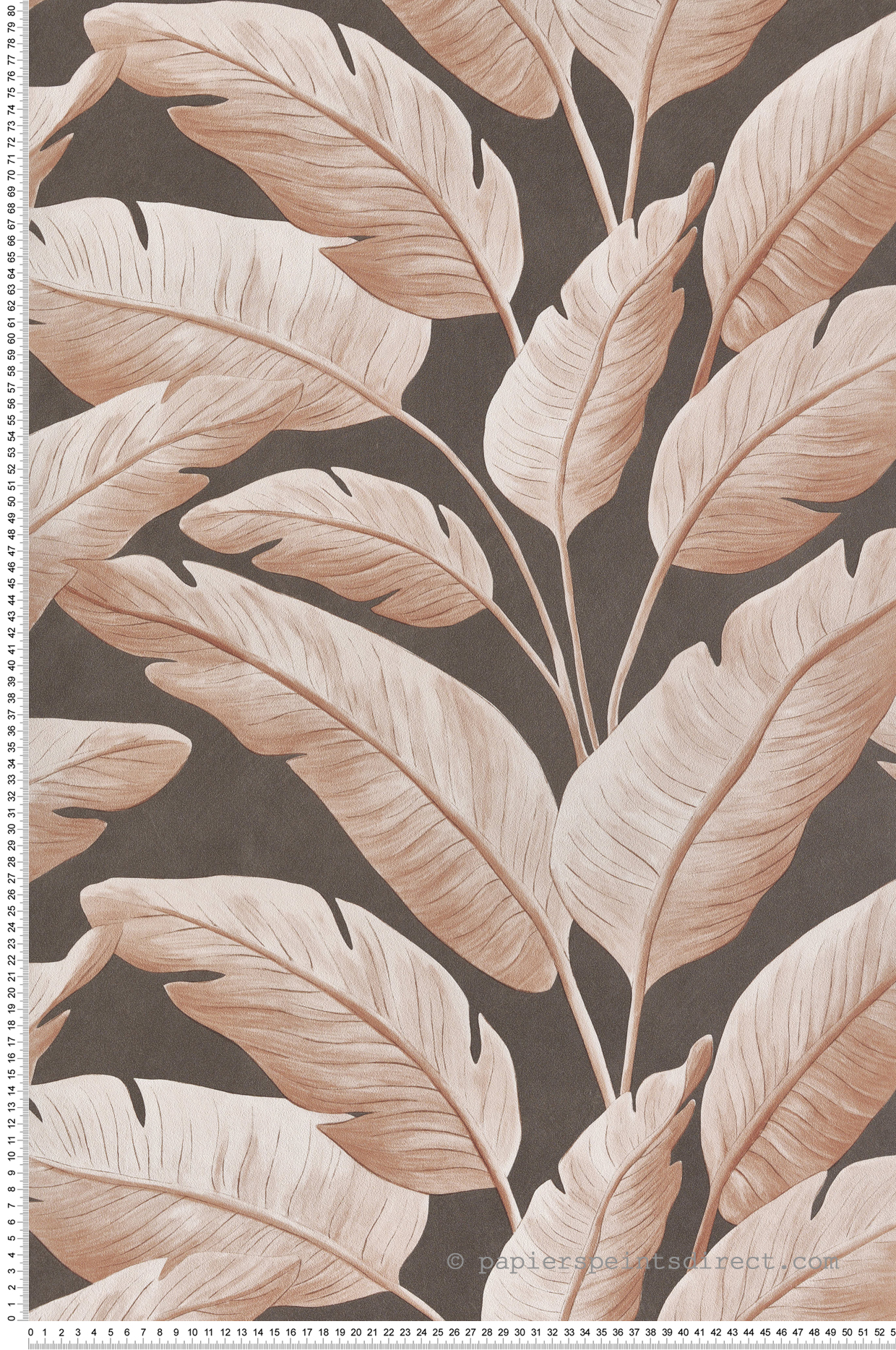 Papier peint Palmes Bananier Tropicalia gris brun - Borneo de Casélio | Réf. BORN106549097