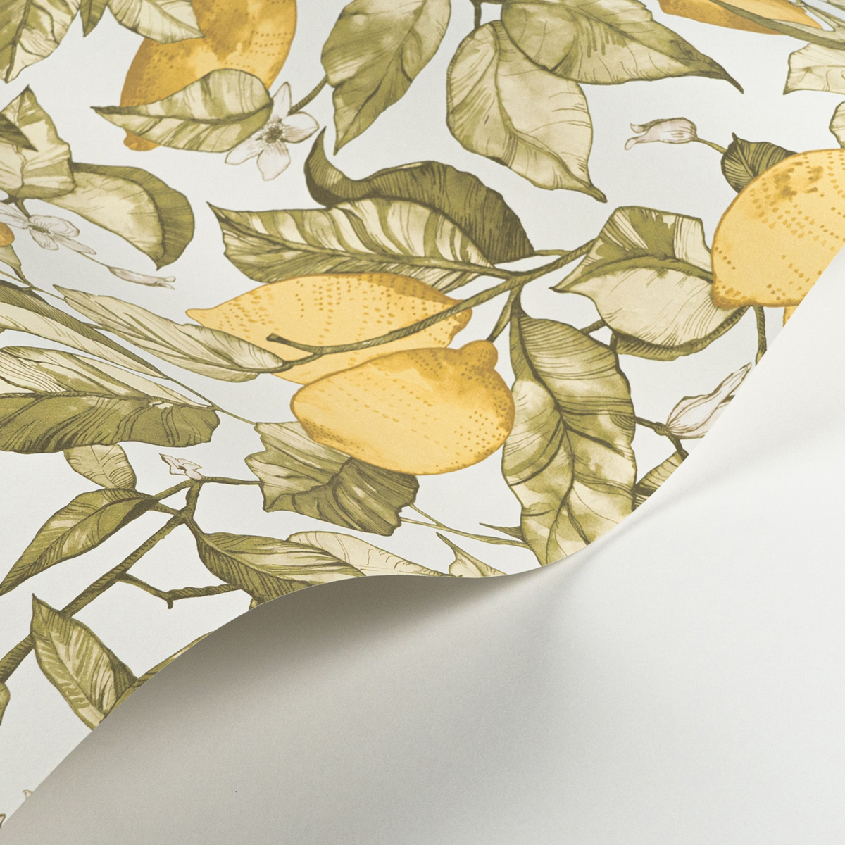 Papier peint Citronnier Contemporain jaune citron blanc - Soliflore de Casadéco AMBV | Réf. SOLI200277227