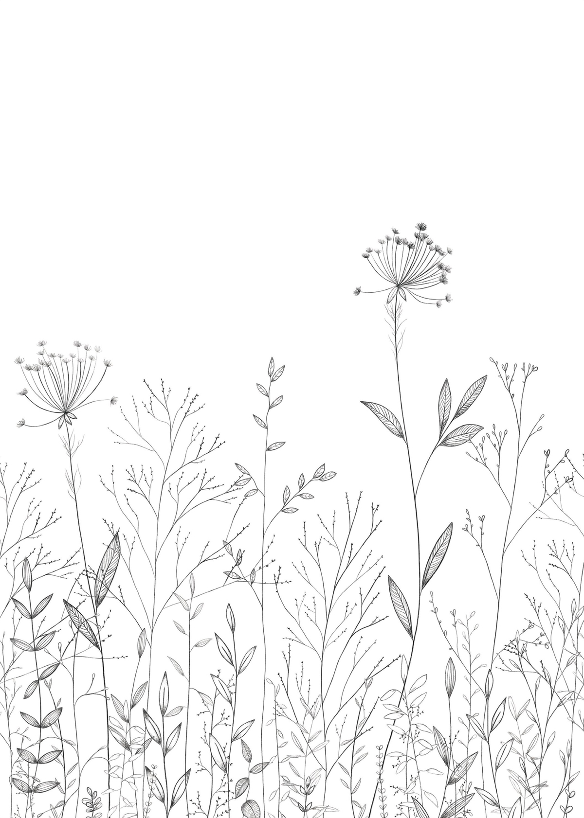 Papier peint Panoramique Prairie Field Line noir et blanc 200X280 - Moonlight 3 de Casélio | Réf. MNL3107220903