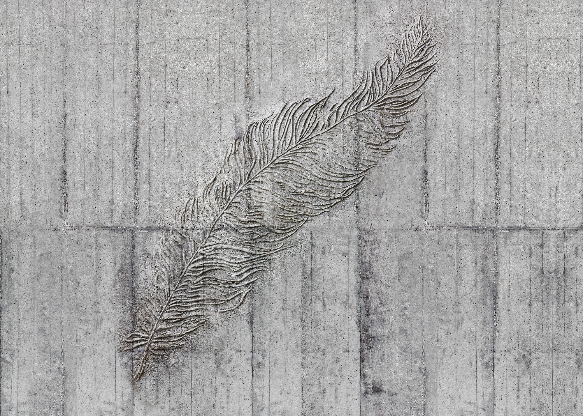 Papier peint panoramique Concrete Feather - Papier peint Komar Home
