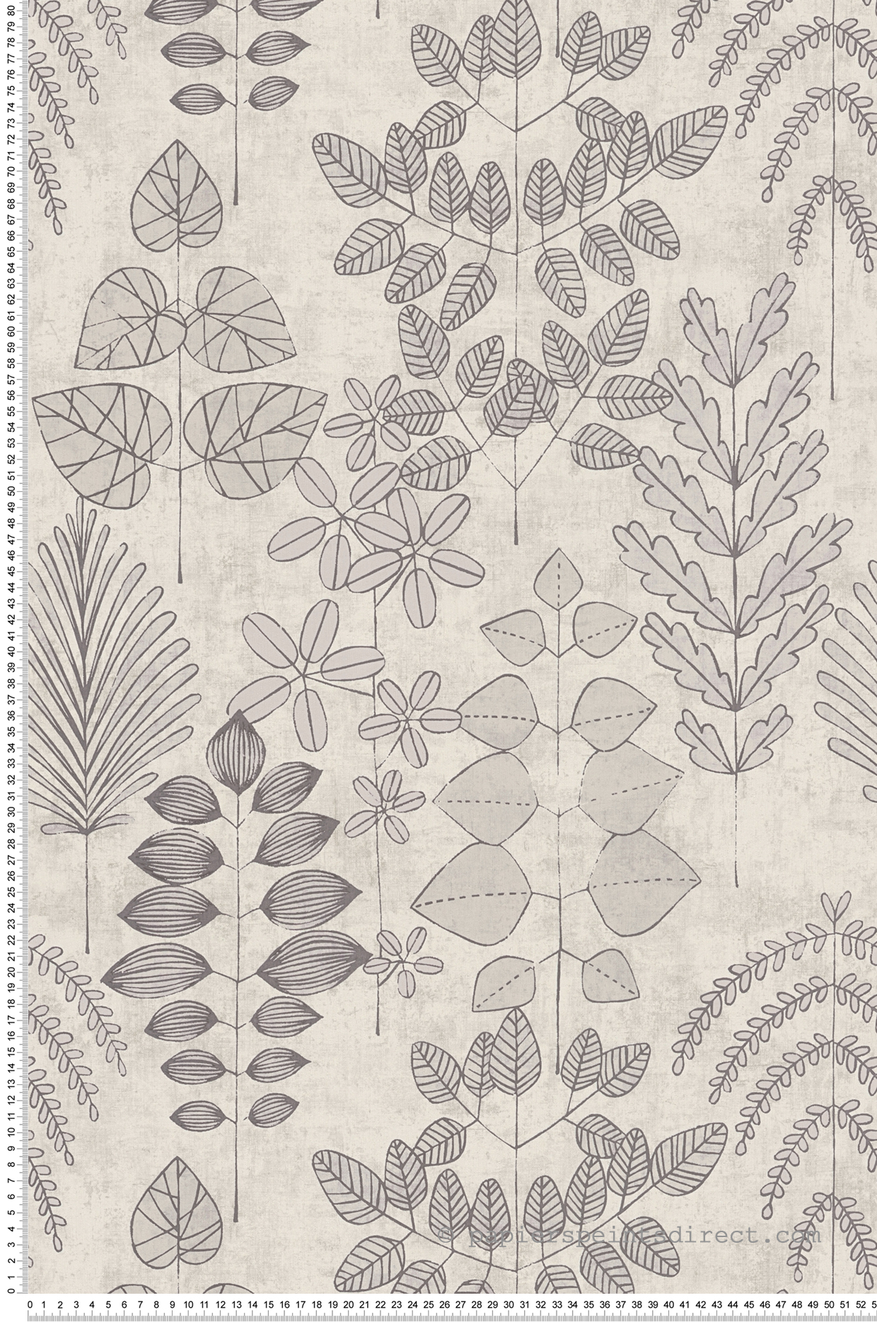 Papier peint Herbier Graphique Athyrium gris - Nordic Feeling d'A.S. Création
