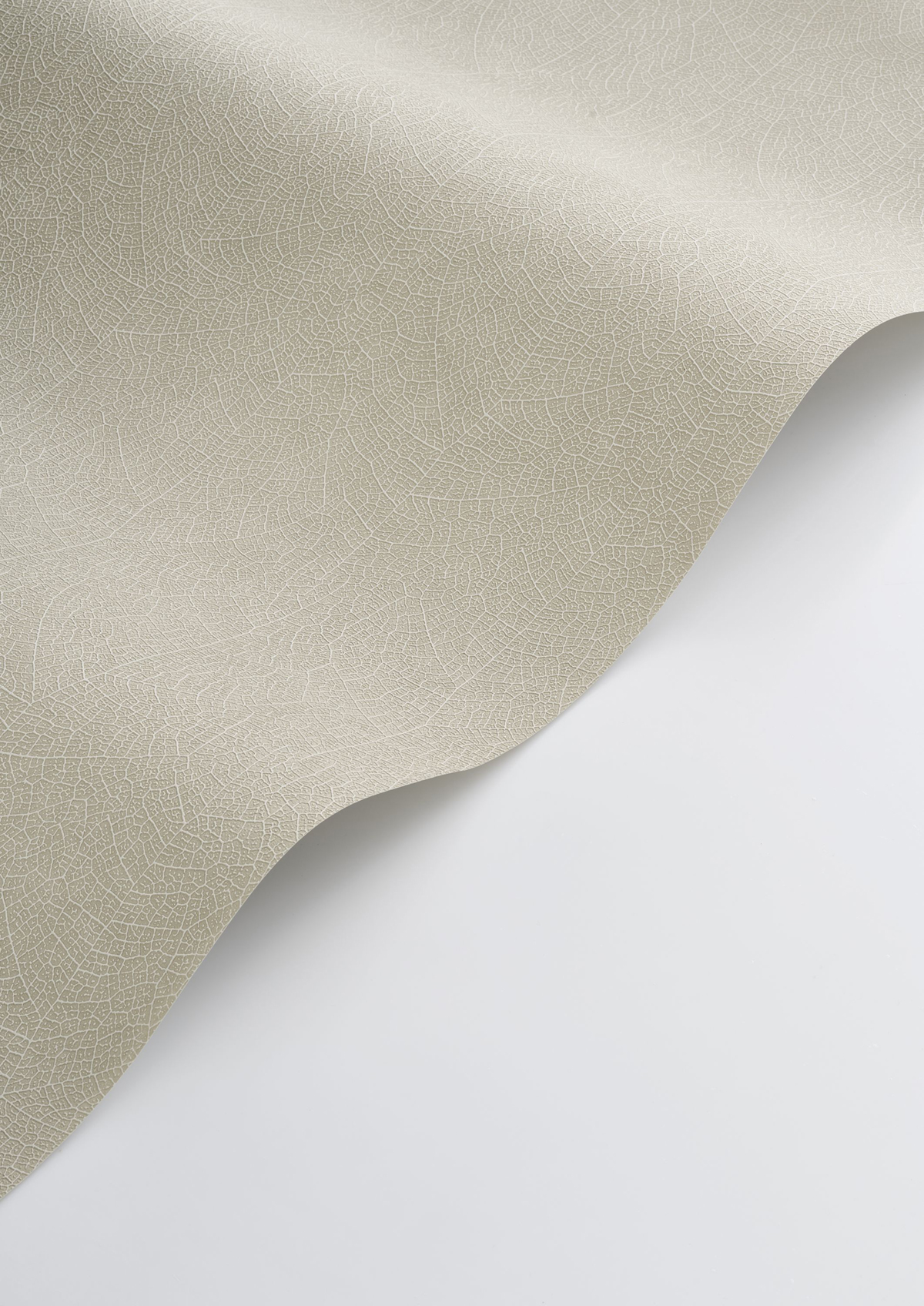 Papier peint Feuille Nervure Nola grège - Vegetals de Casadéco AMBV| Réf. VEGE201281303