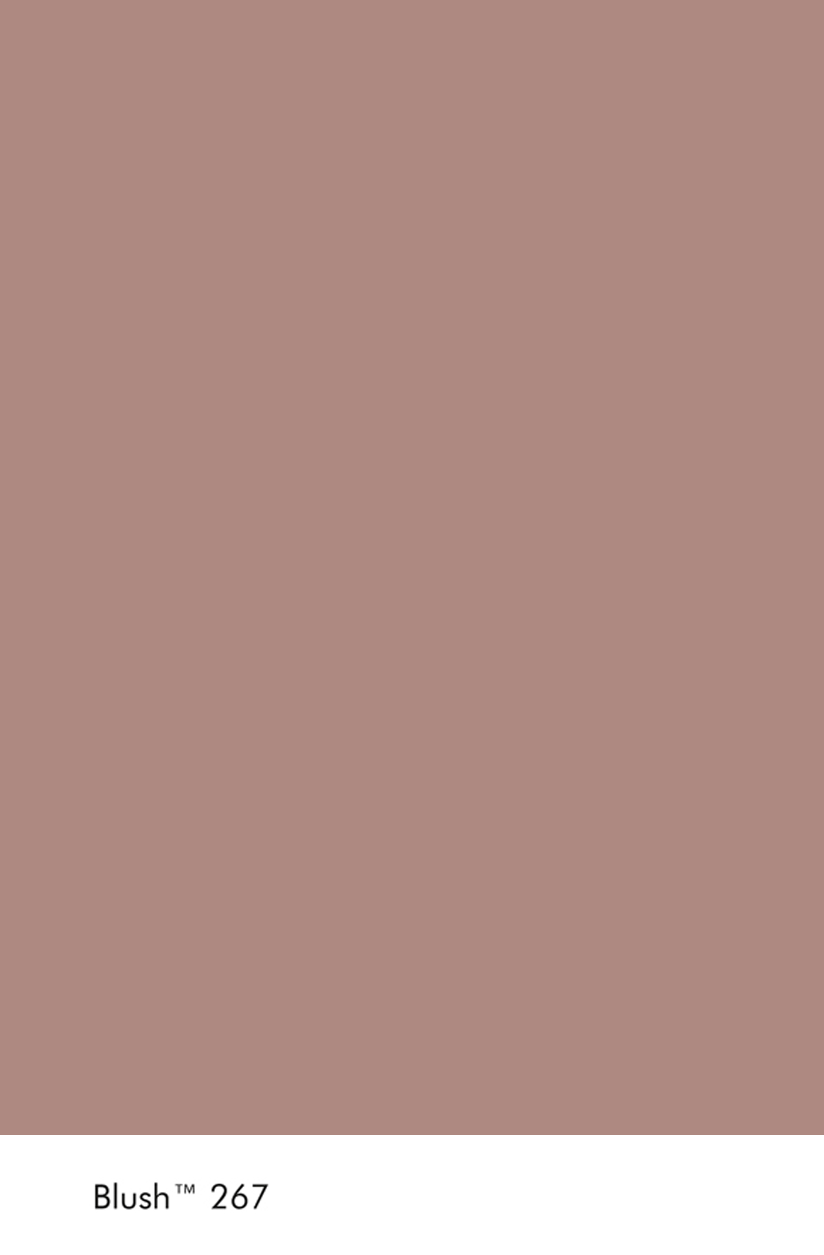 Peinture Little Greene Blush n°267