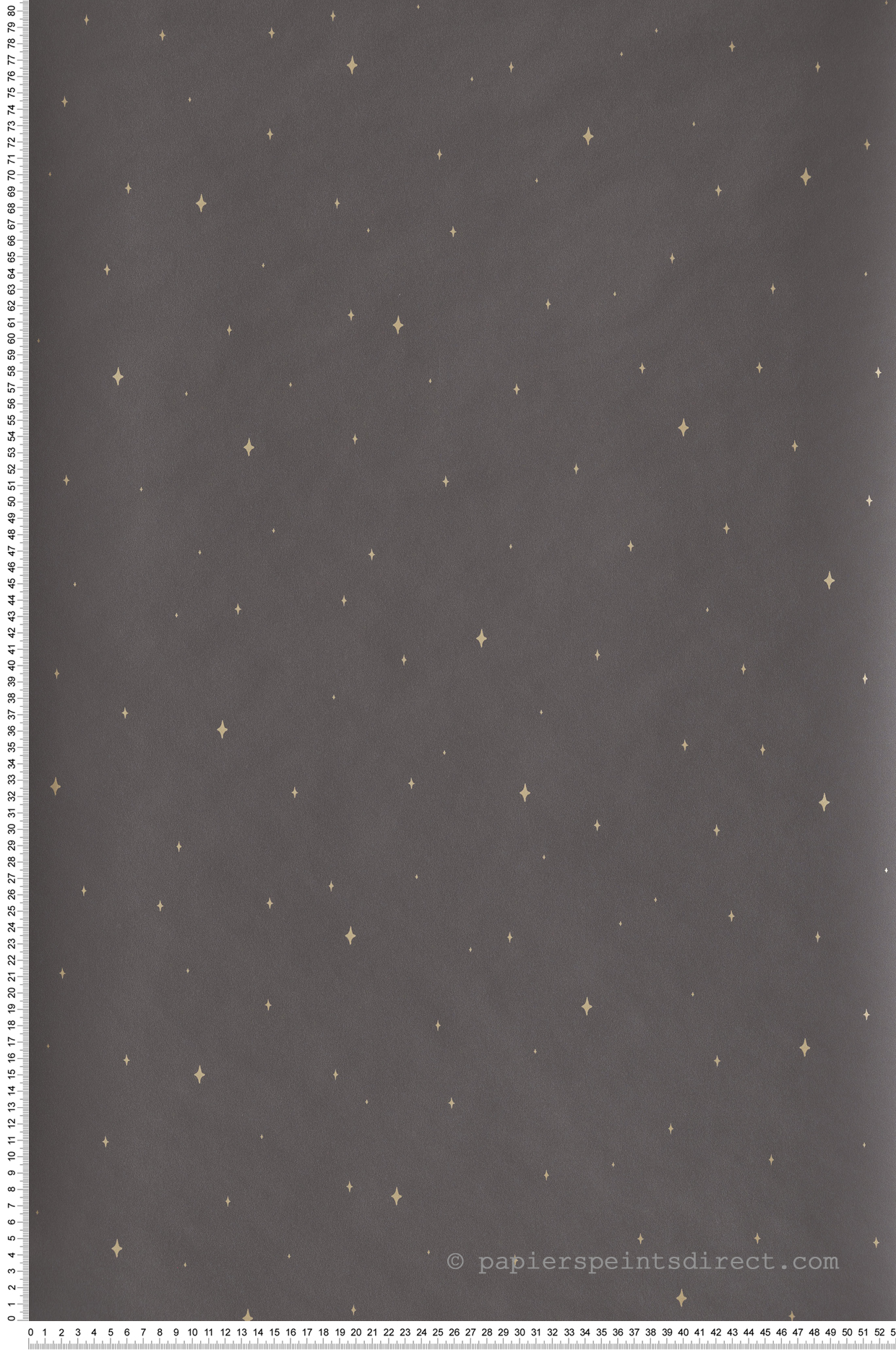 Papier peint Etoile Under The Stars noir et doré - La Forêt de Casélio | Réf. FRT102969983
