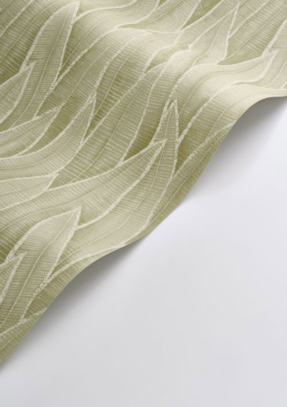 Papier peint Nature Feuille Sansevieria vert amande - Rio de Casadéco AMB4| Réf. RIOC201837260