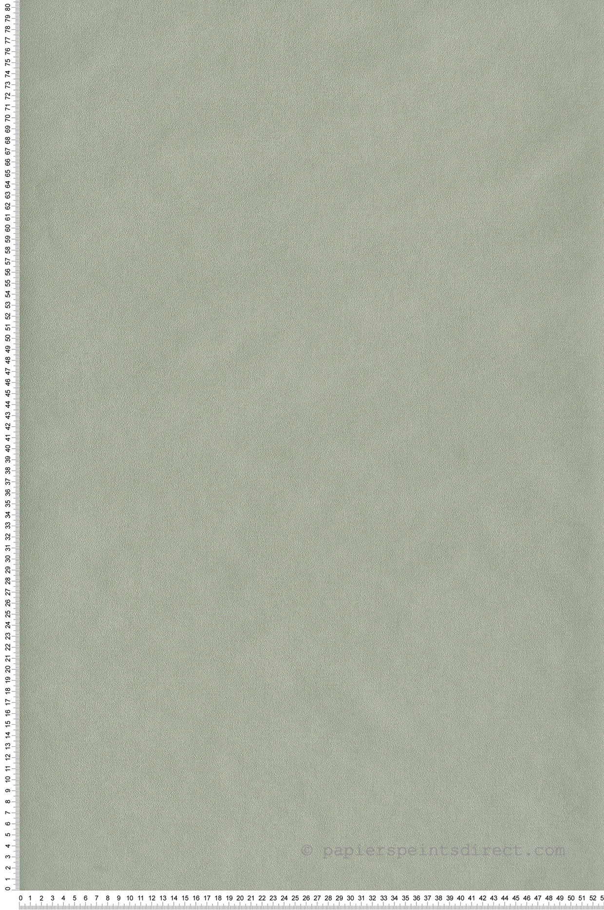 Papier peint Uni vert amande - Young & Free de Casélio | Réf. YNF64527210