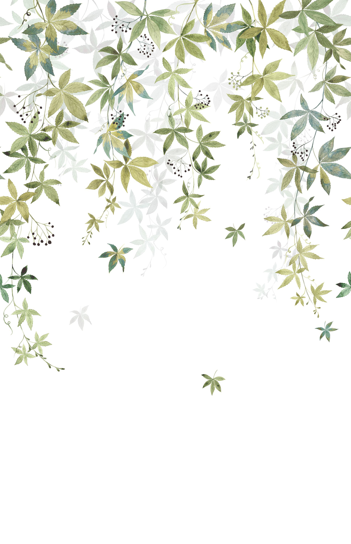 Papier peint panoramique Feuille Vigne en Fleur L vert 200X310 - Wonderwalls 2 de Casadéco | Réf. WDWD200067204