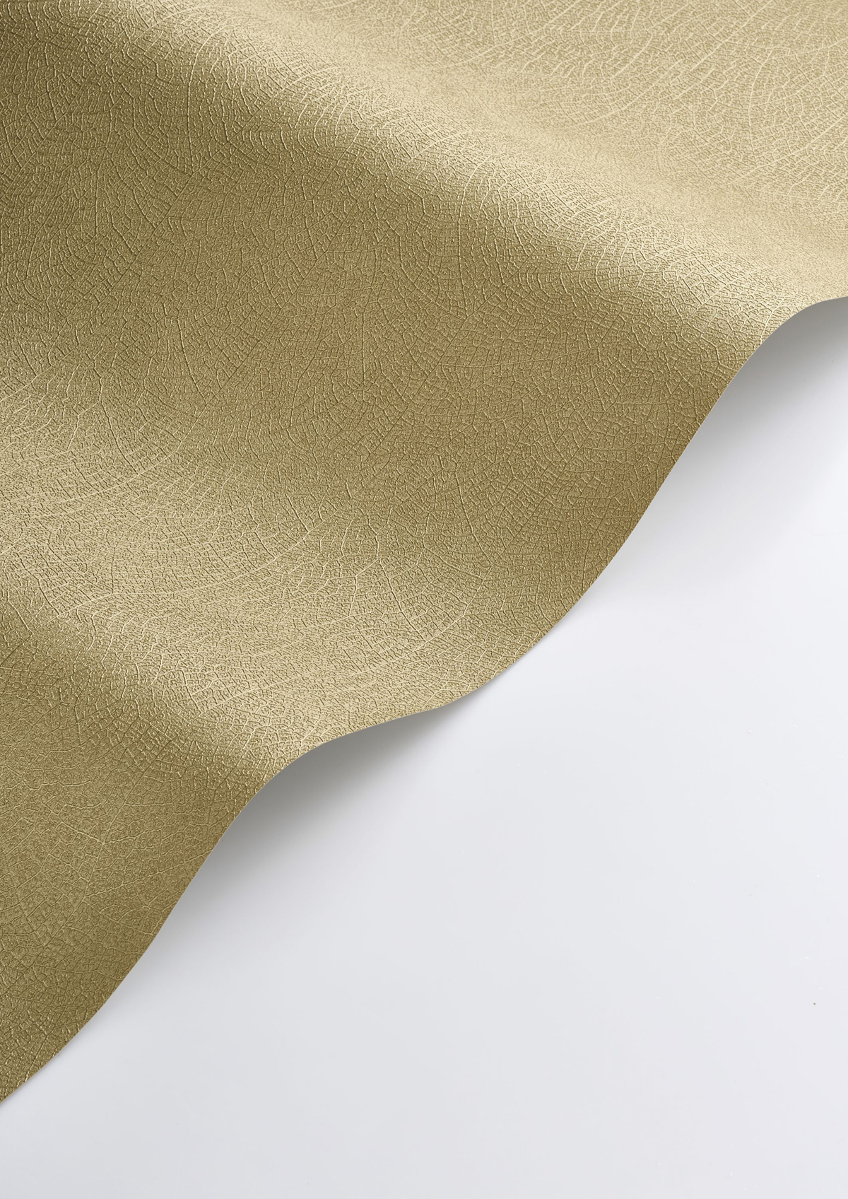 Papier peint Feuille Nervure Nola doré - Vegetals de Casadéco AMBV| Réf. VEGE201282332