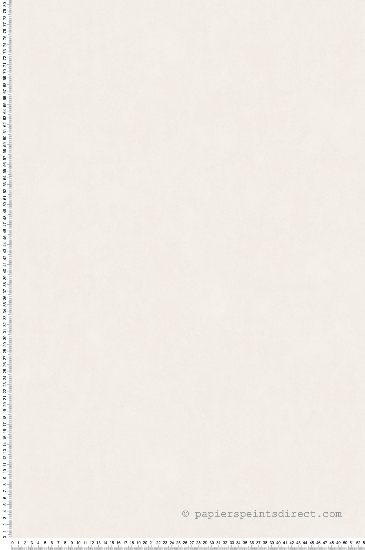 Papier peint Faux Uni grège clair - Tartine & Chocolat de Lutèce | Réf. LTC-36200917