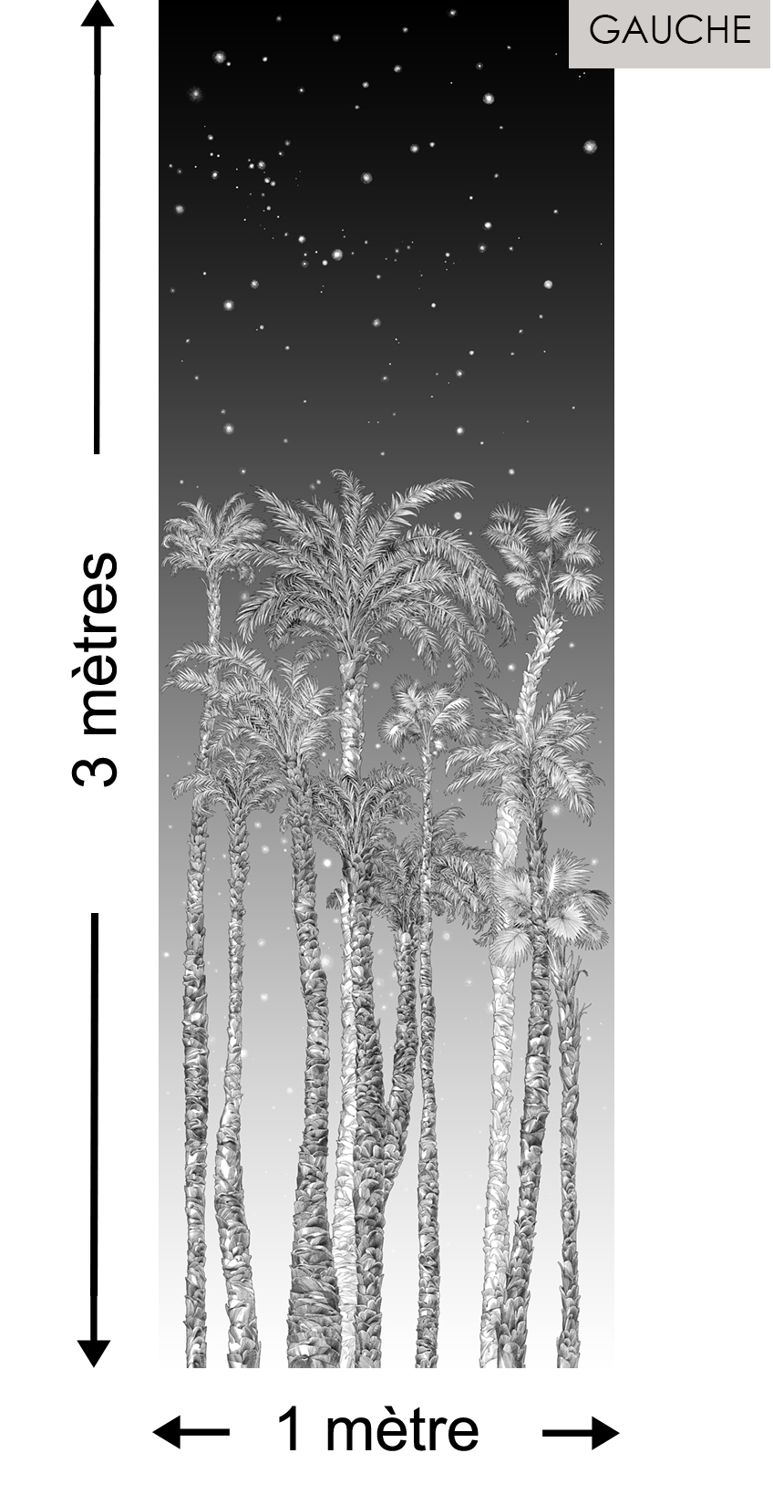 Nuit Etoilée DROITE Noir & Blanc - Collection Catherine Gran de Edmond Petit