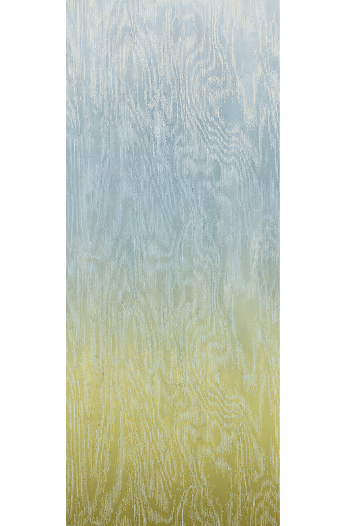 Papier peint panoramique Dégradé Moiré Bois bleu vert citron - B H260 - Wall Designs IV de Masureel | Réf. MAS-DG4MOI1072-260