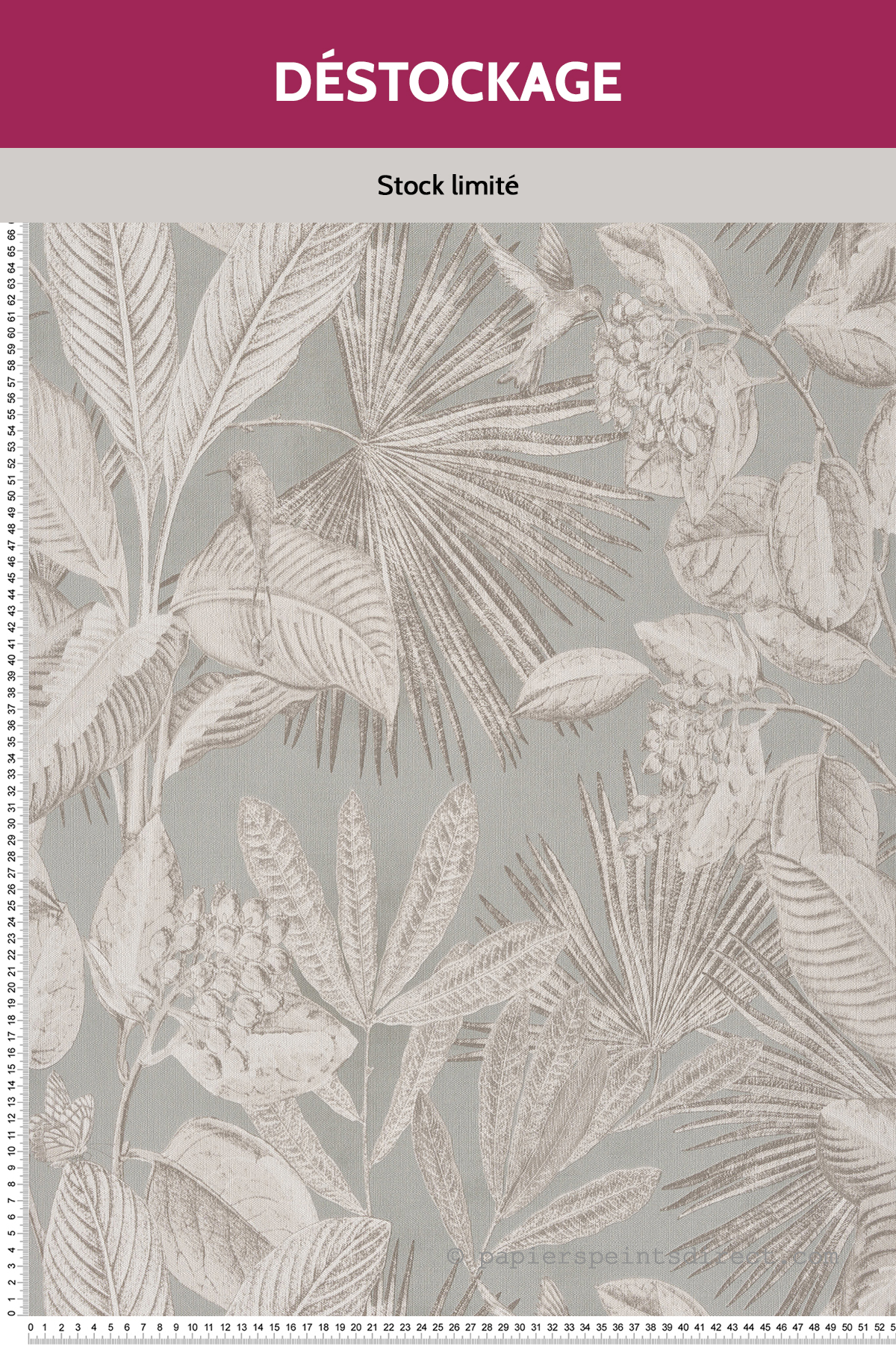 Papier peint Destockage - Oiseaux Tropicaux beige gris bleuté - Renouveau de Lutèce