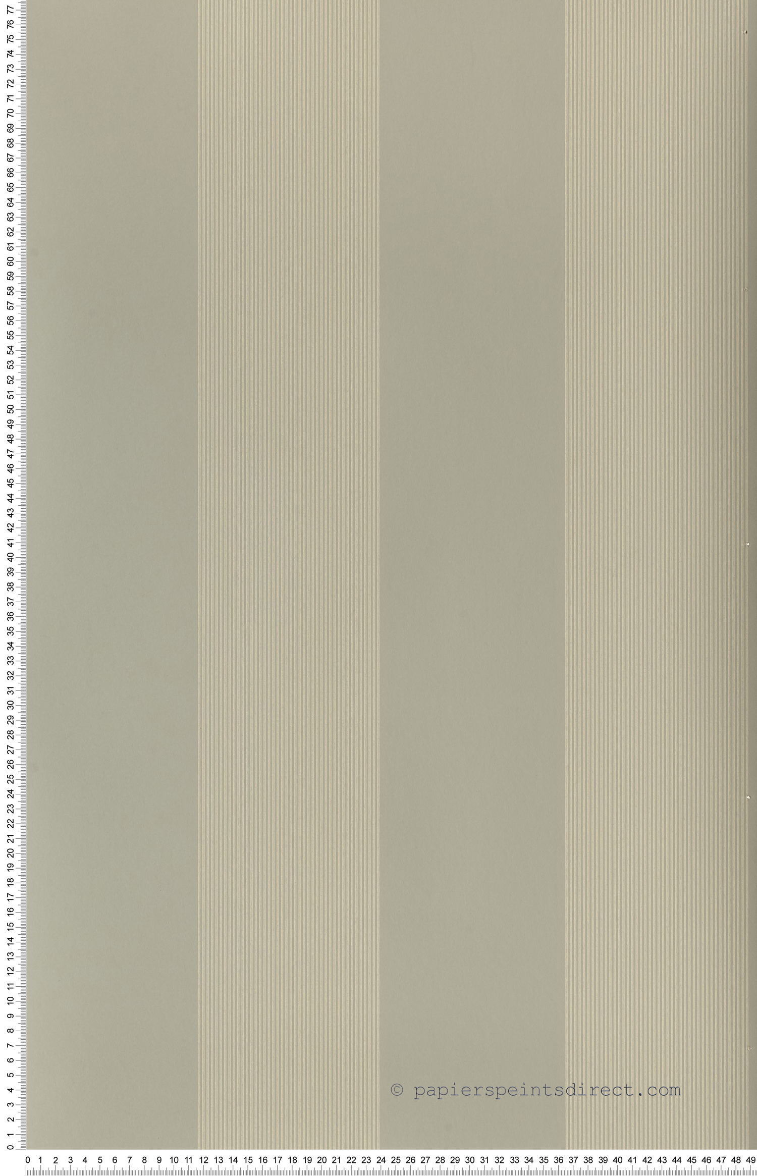 Elephant stripes vert - Painted Papers de Little Greene