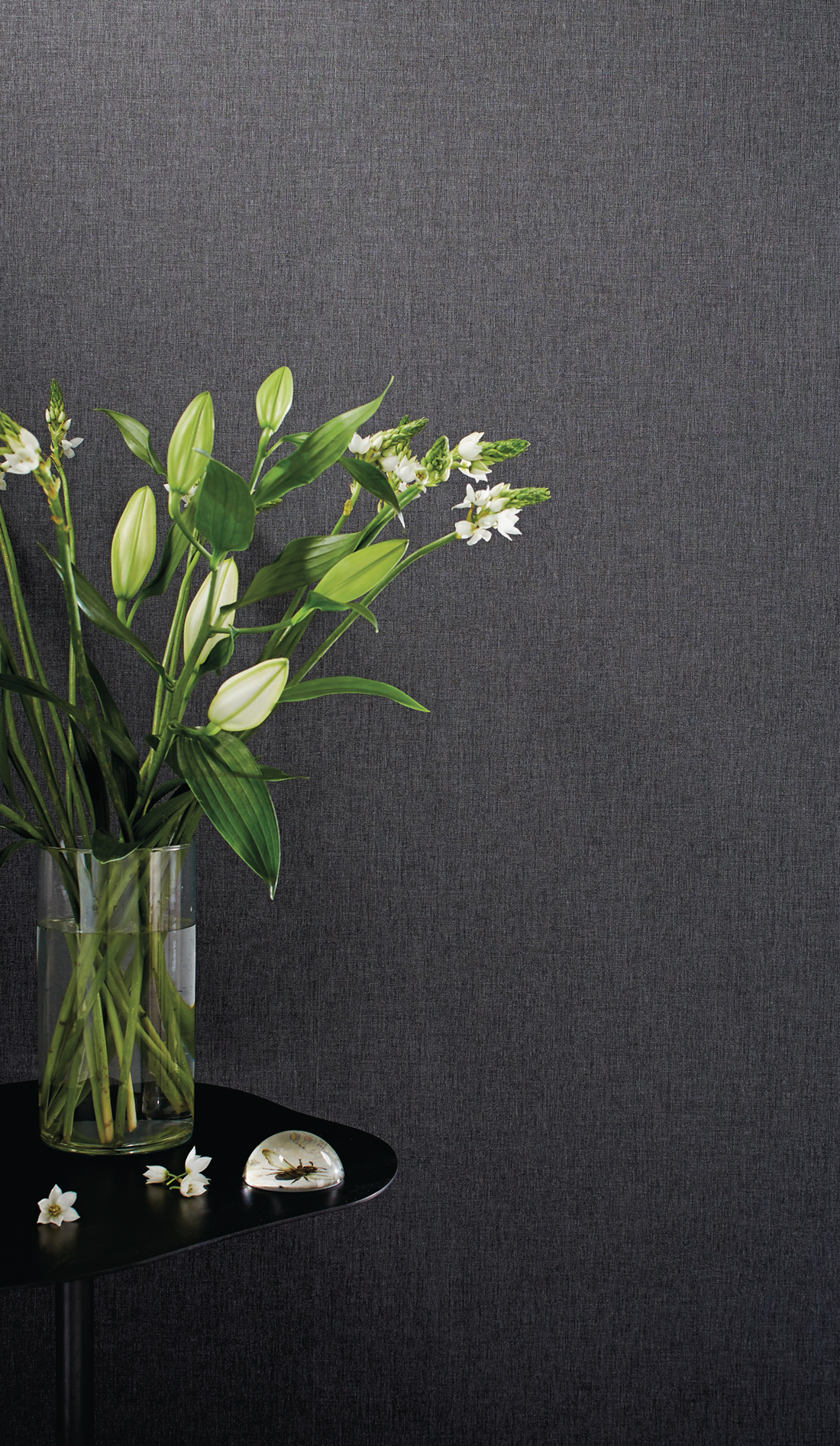 Papier peint Uni Noir - Linen de Casélio | Réf. INN68529560