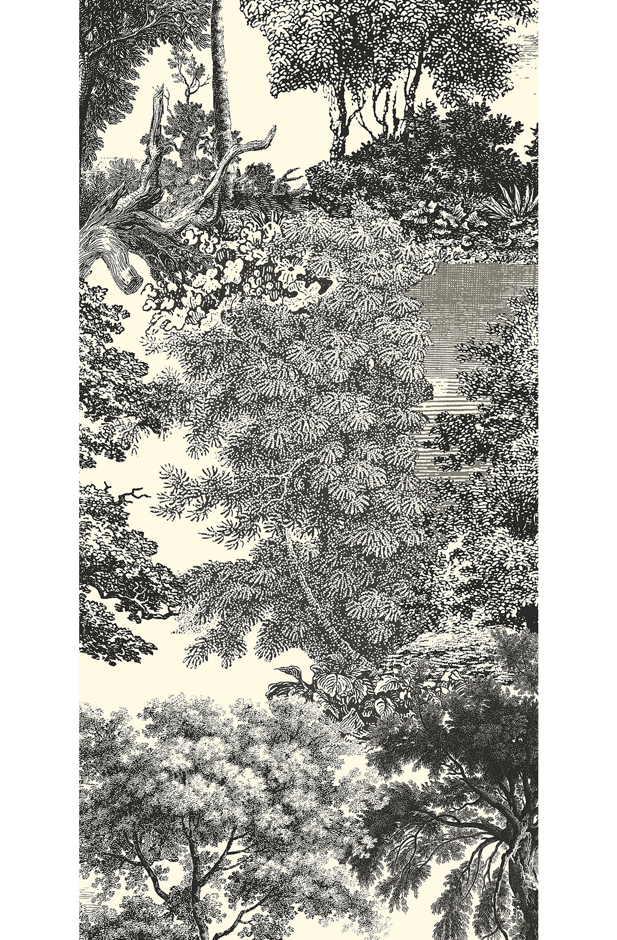 Papier peint panoramique Toile de Jouy Salcey anthracite - B H260 - Amazone de Masureel | Réf. MAS-DGSAL1012-260