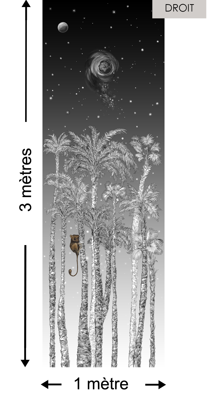 Nuit Terrienne DROITE Noir & Blanc - Collection Catherine Gran de Edmond Petit