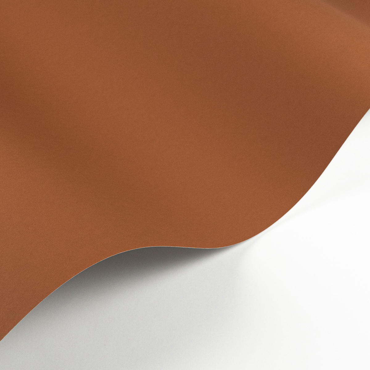 Papier peint Uni Pigments Buvard terracotta - Moulures & Co de Casadéco | Réf. MOCO200333443