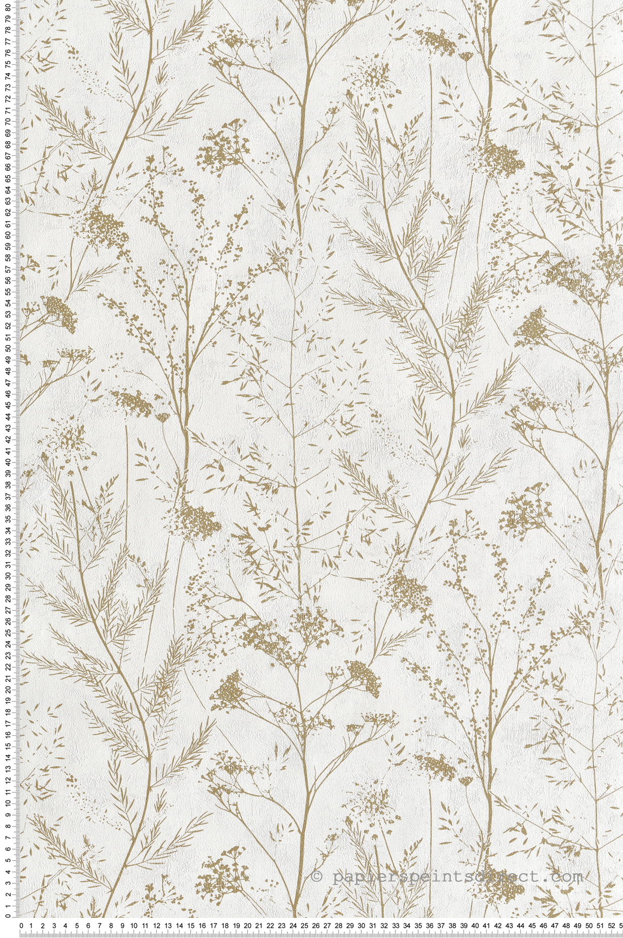 Papier Peint Fleur Plante Oyat Gris Ombre Sentier Des Dunes De Papier Peint Fleur Plante Oyat Gris Ombre Sentier Des Dunes De