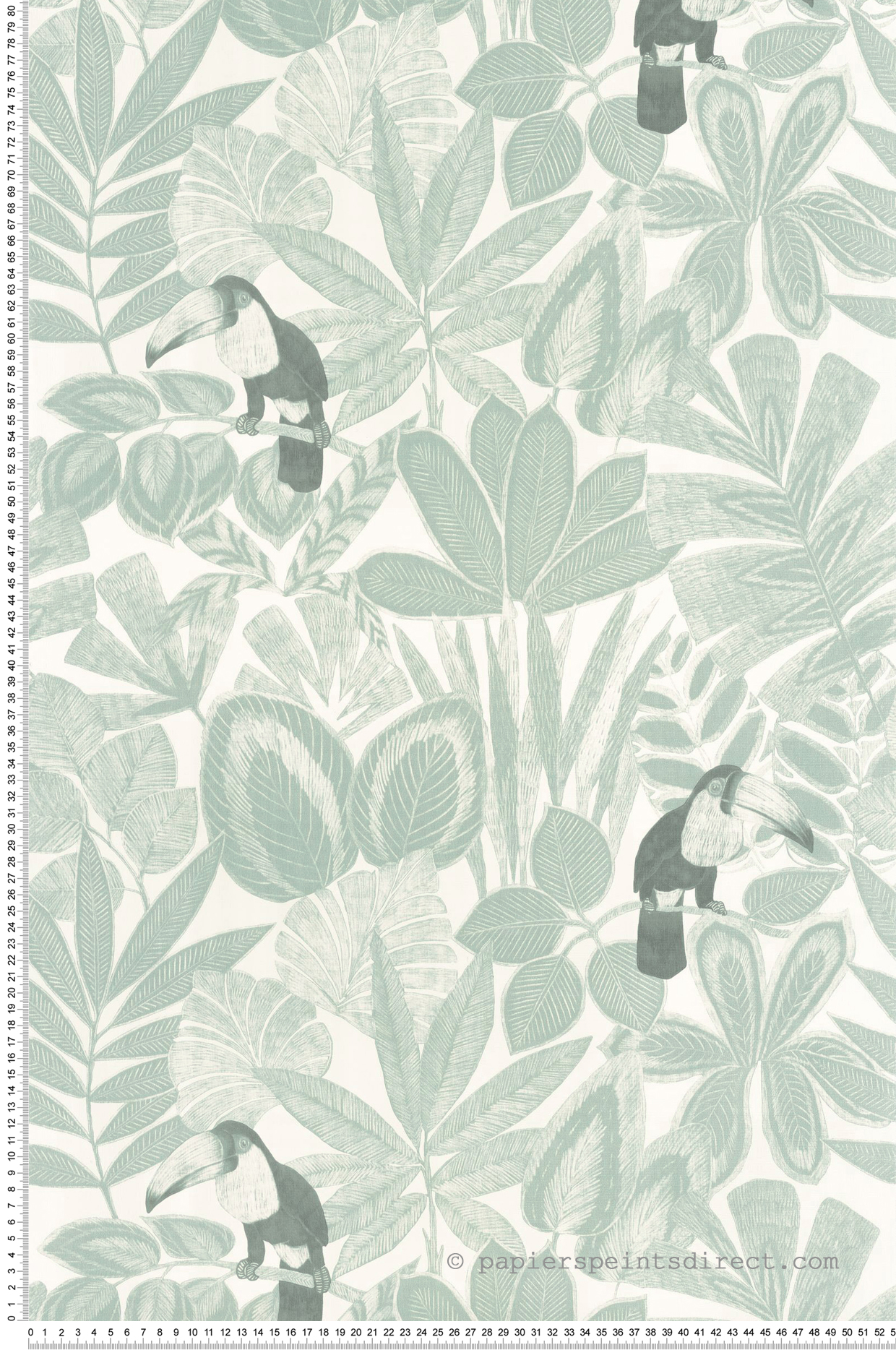 Papier peint Toucan Rio vert d'eau - Green & Co de Casélio | Réf. GCO103920614