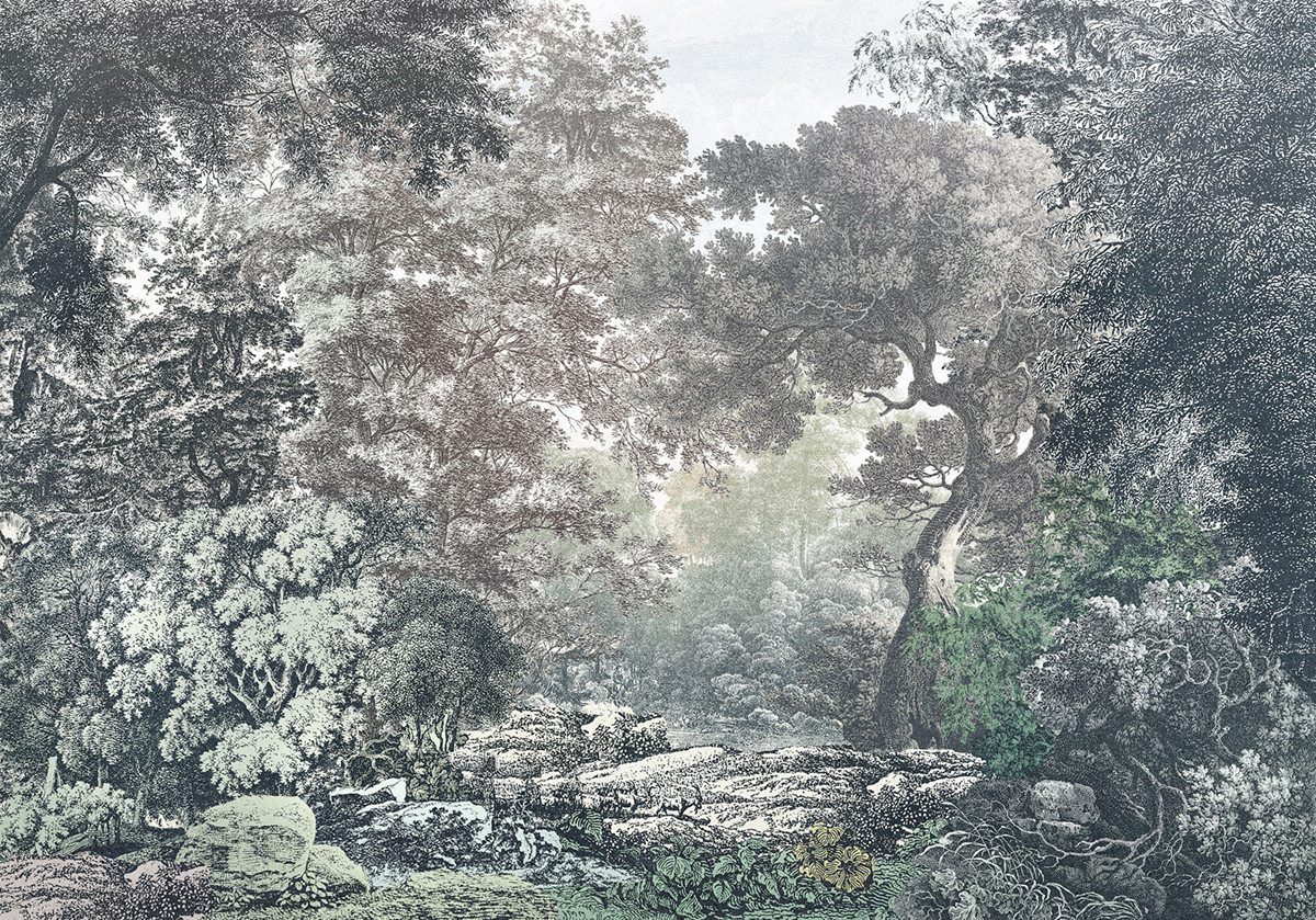 Papier peint panoramique Forêt vert - Papier peint Komar Into Wonderland