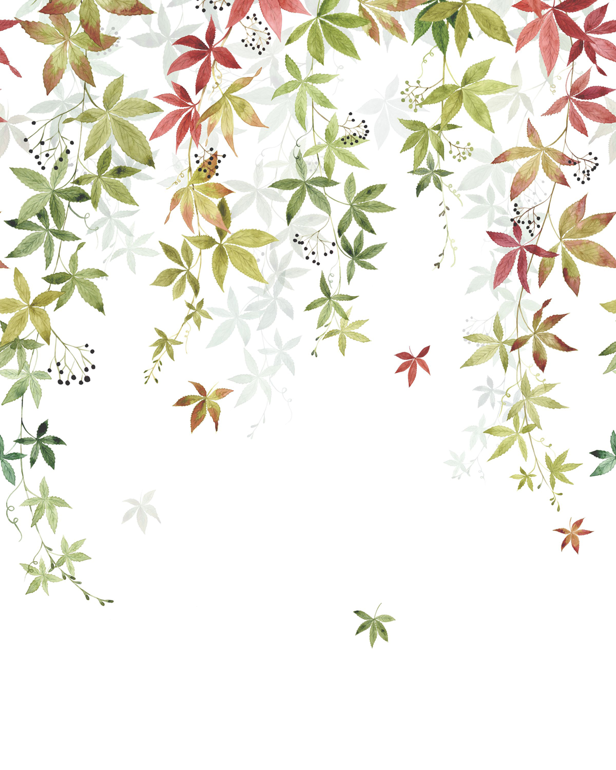 Papier peint panoramique Feuille Vigne en Fleur S automne 200X250 - Wonderwalls 2 de Casadéco | Réf. WDWD200067905