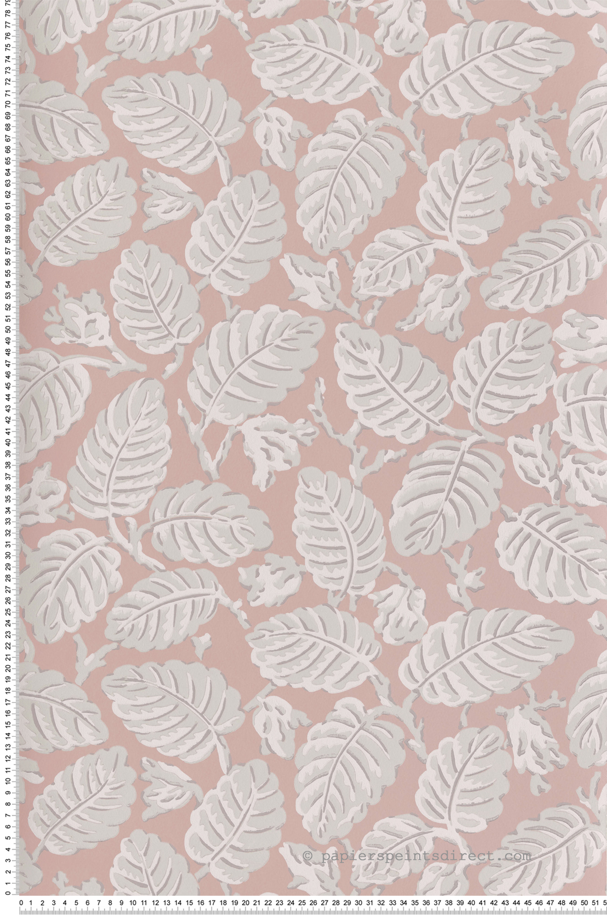 Papier peint nature Beech Nut Delicate - National Trust Papers 2 de Little Greene | Réf. 0260BEDELIC