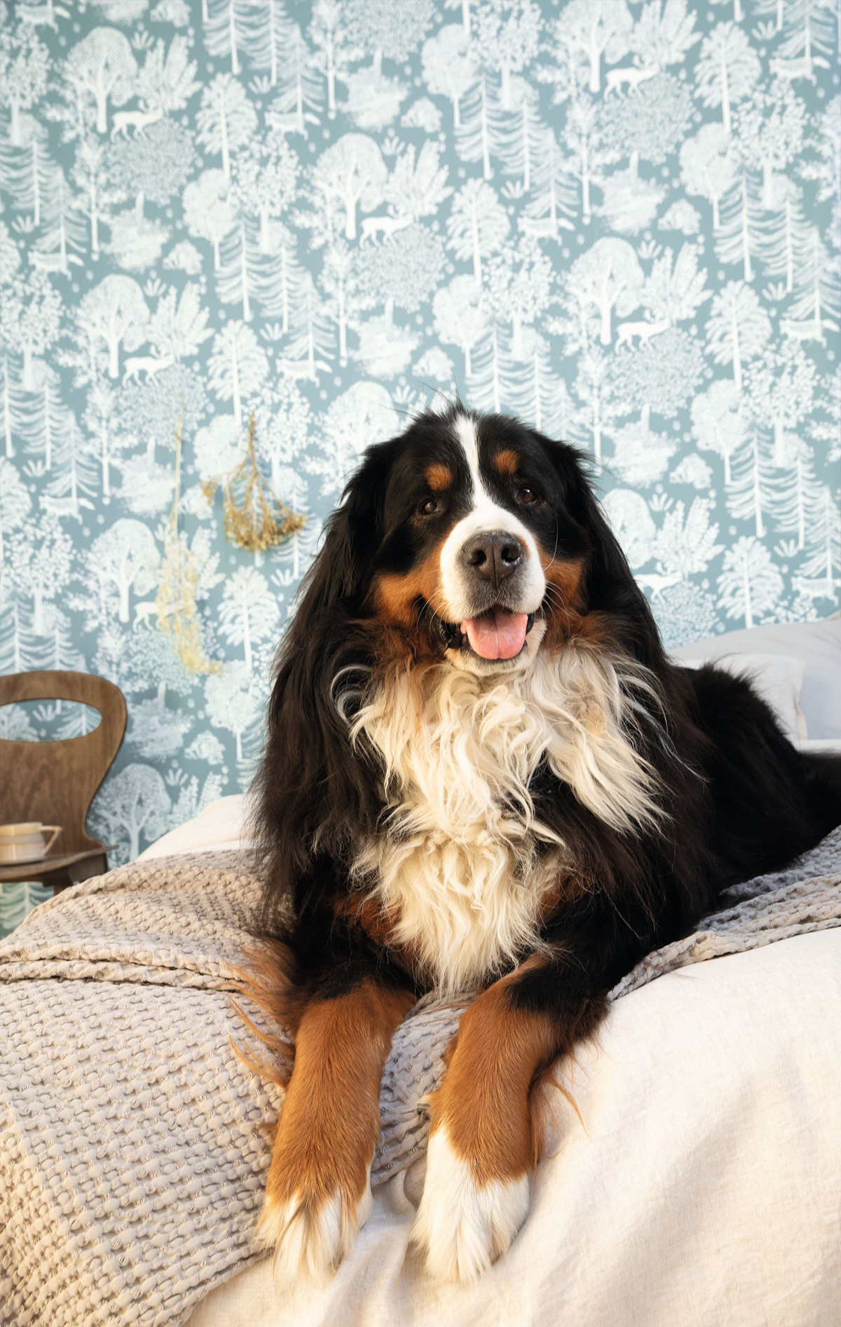 Papier peint Renard en Forêt bleu - La Forêt de Casélio | Réf. FRT102936033