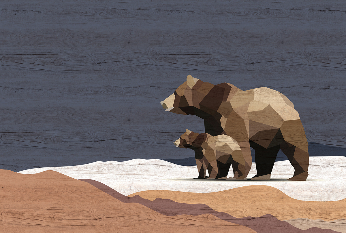 Papier peint panoramique Walls by Patel 3 - Référence DD122900 - Intissé 200g/m2 - 400 x 270 cm