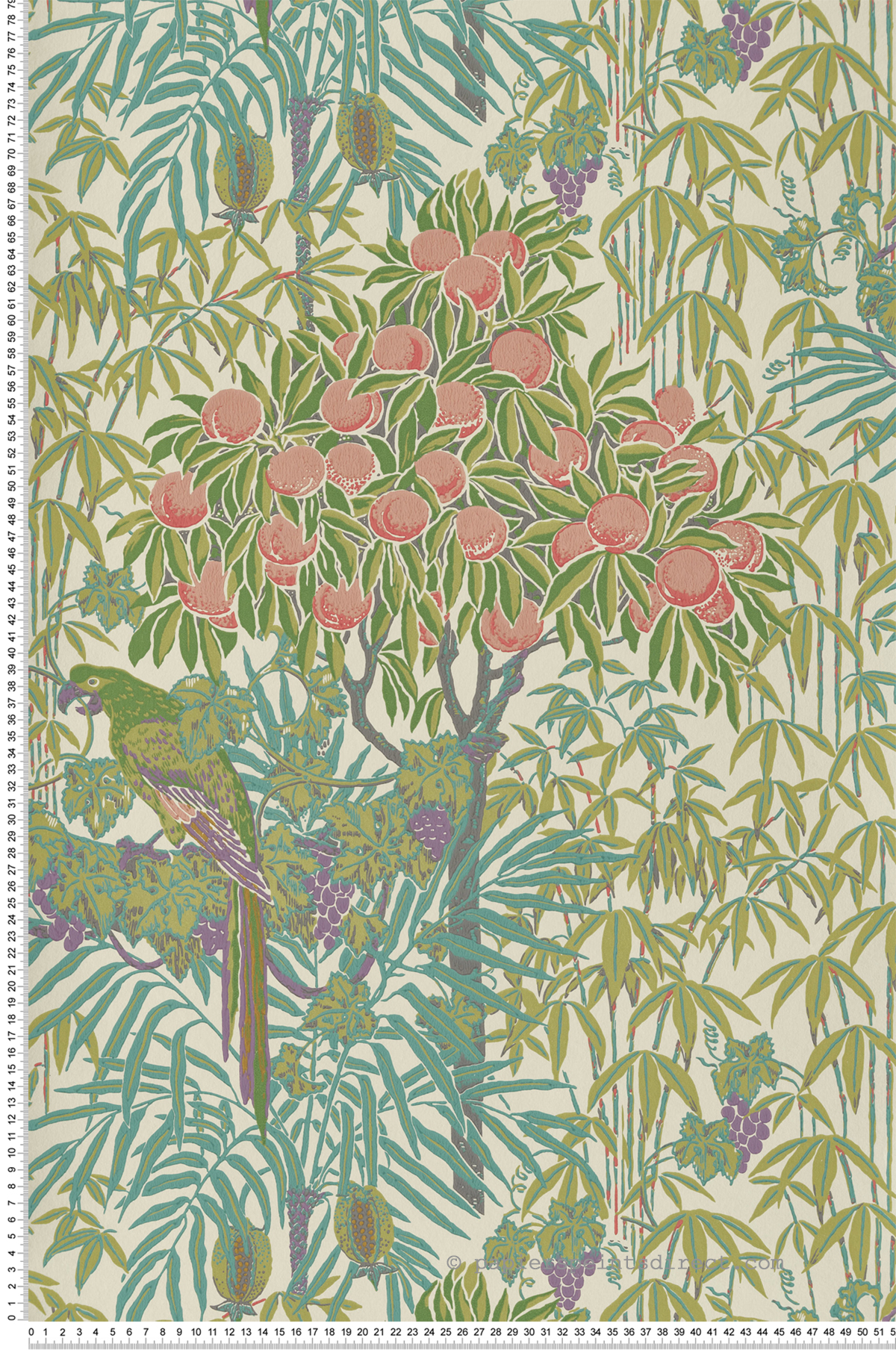Papier peint Nature Perroquet Macaw vert olive - V&A Decorative Papers d'Initiales | Réf. INI-31116701