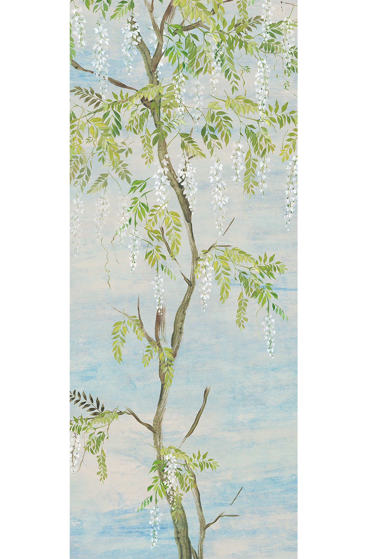 Papier peint panoramique Fleurs Glycine Patio bleu - C H260 - Wall Designs IV de Masureel | Réf. MAS-DG4PAT1023-260